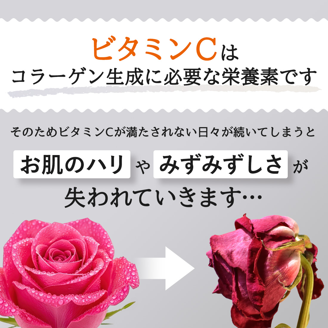 Lipora-C (30本入) 個数: 1箱（30本入り）
