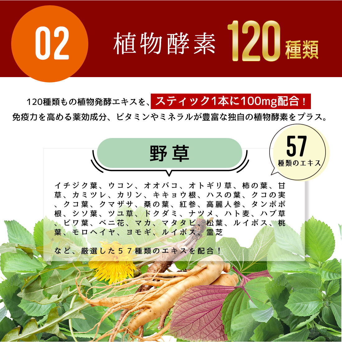 魅惑ザクロ + 美容ゼリー コラーゲンゼリー【1本：20g】 セット内容: 7本