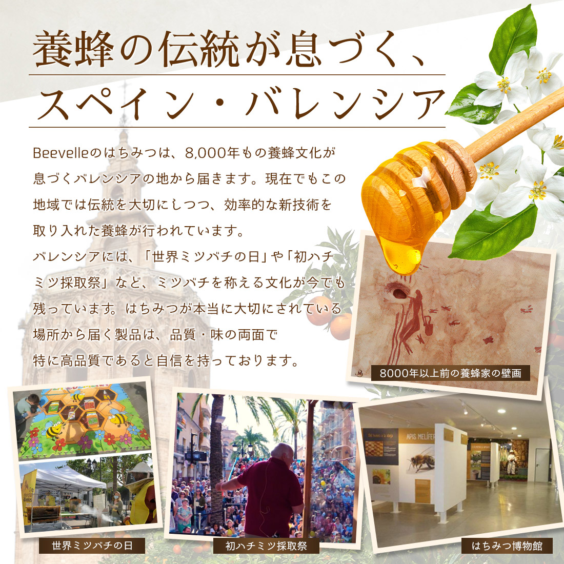 はちみつ Beevelle(ビーベル) はちみつの種類: 百花はちみつ