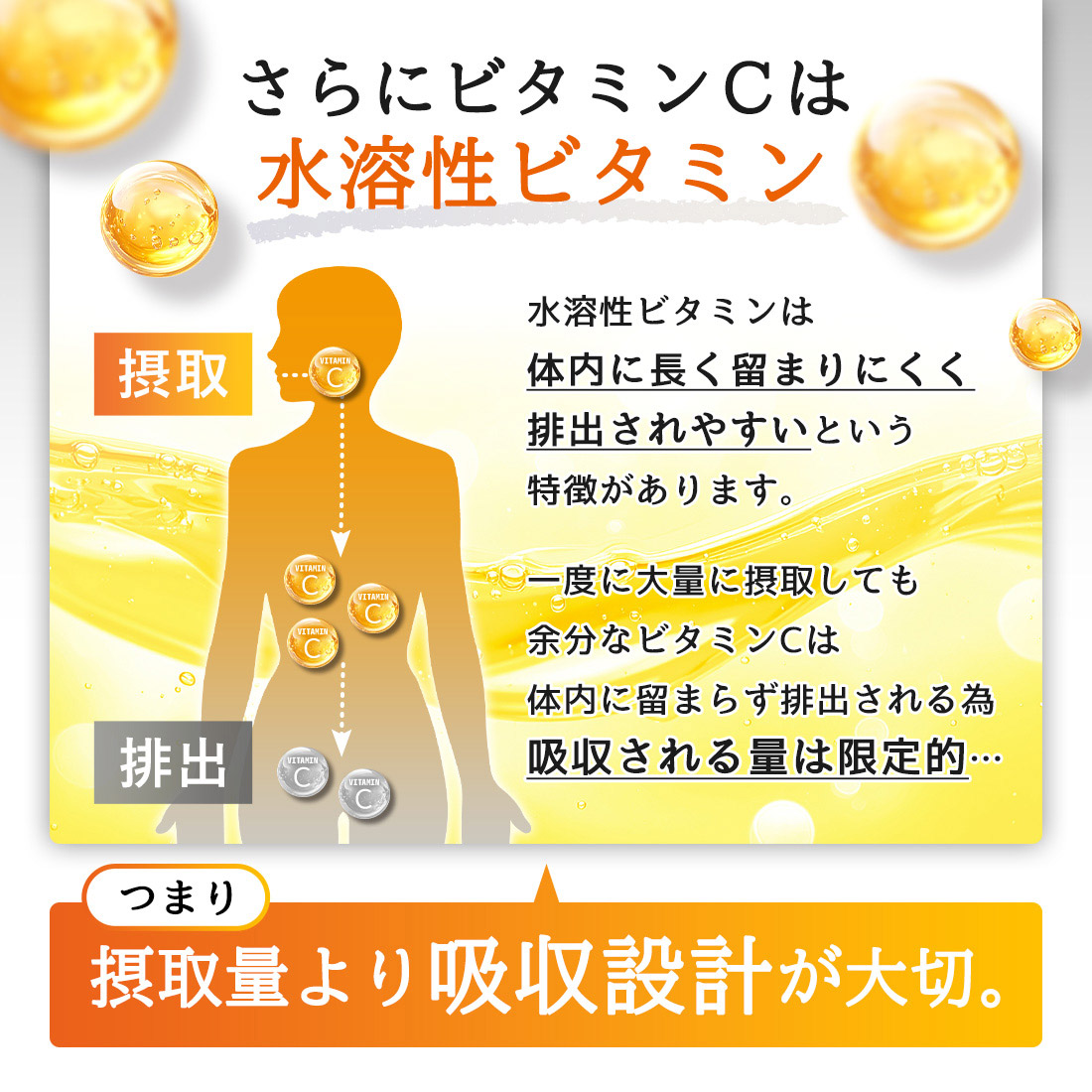 Lipora-C (30本入) 個数: 1箱（30本入り）