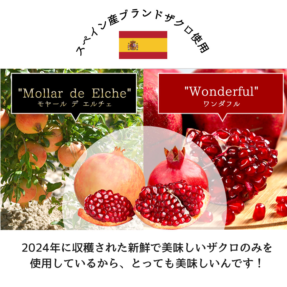 魅惑ザクロ + 美容ゼリー コラーゲンゼリー【1本：20g】 セット内容: 7本