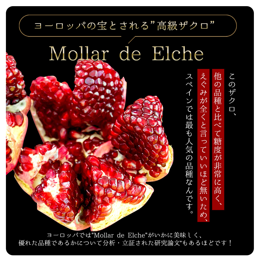 魅惑ザクロ /ジンジャーブースト  タイプ[味]を選択: 魅惑ザクロ100％, 個数: 1袋