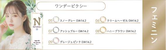 ワンデーピクシー