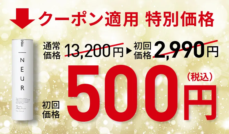 クーポン適用価格500円（税込）送料無料