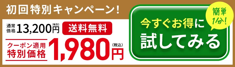 今すぐお得に試してみる（うるハリ肌お届け便に申し込む）