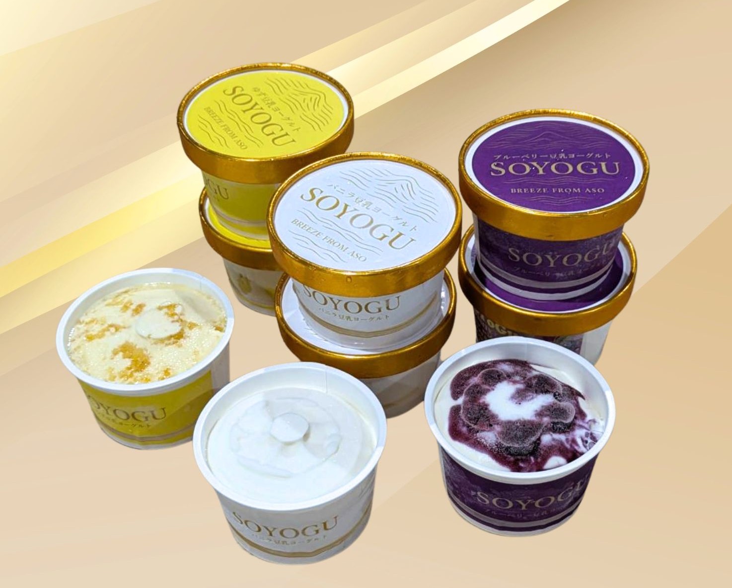 【AII熊本で開発】SOYOGUｱｲｽｸﾘｰﾑ ６個ｾｯﾄ 【単品】