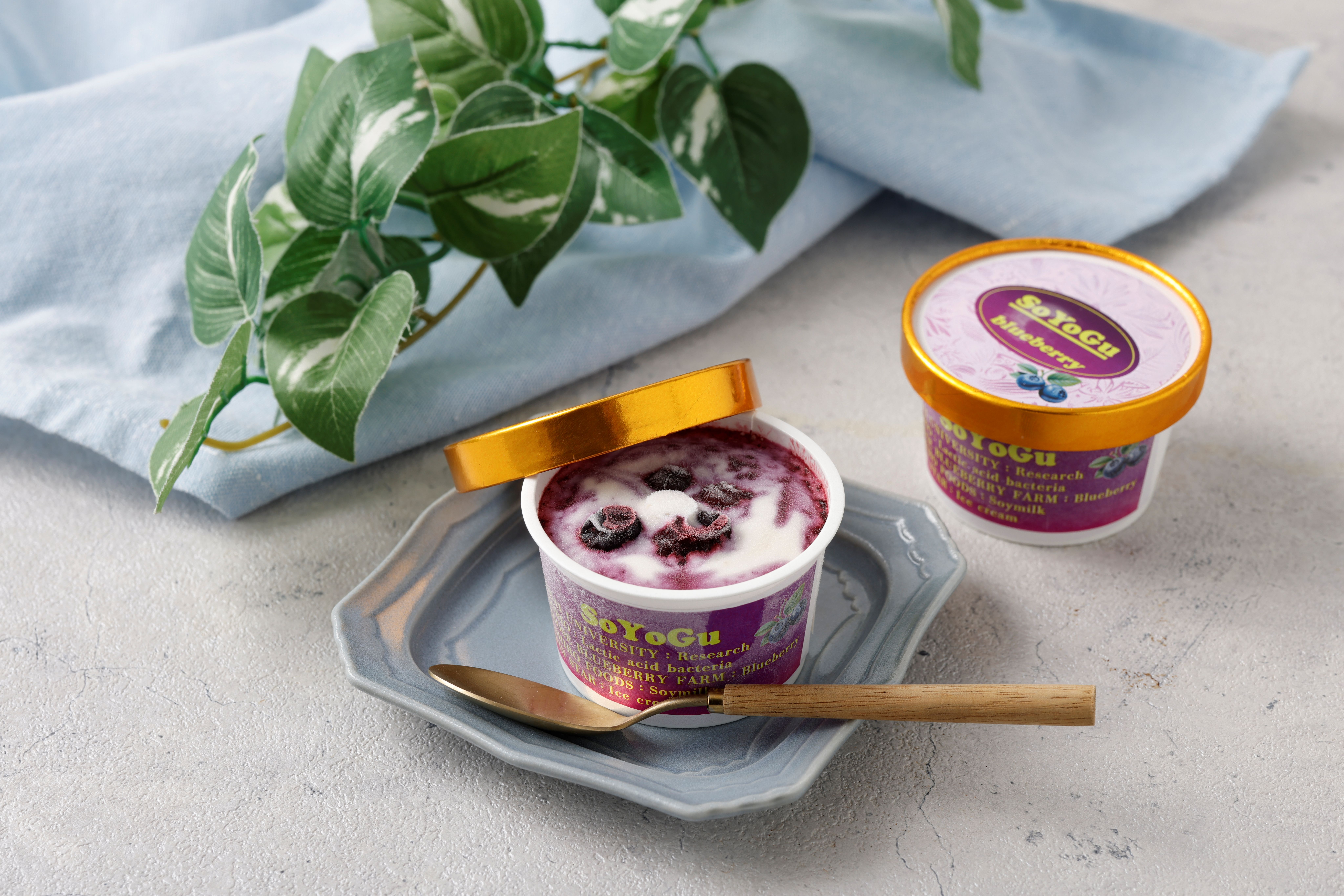 ﾌﾞﾙｰﾍﾞﾘｰ豆乳ﾖｰｸﾞﾙﾄｱｲｽｸﾘｰﾑ(SOYOGU)８個ｾｯﾄ 【 単品 】