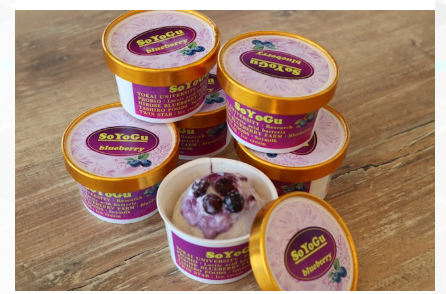 ﾌﾞﾙｰﾍﾞﾘｰ豆乳ﾖｰｸﾞﾙﾄｱｲｽｸﾘｰﾑ（SOYOGU)８個ｾｯﾄ 【 定期 】