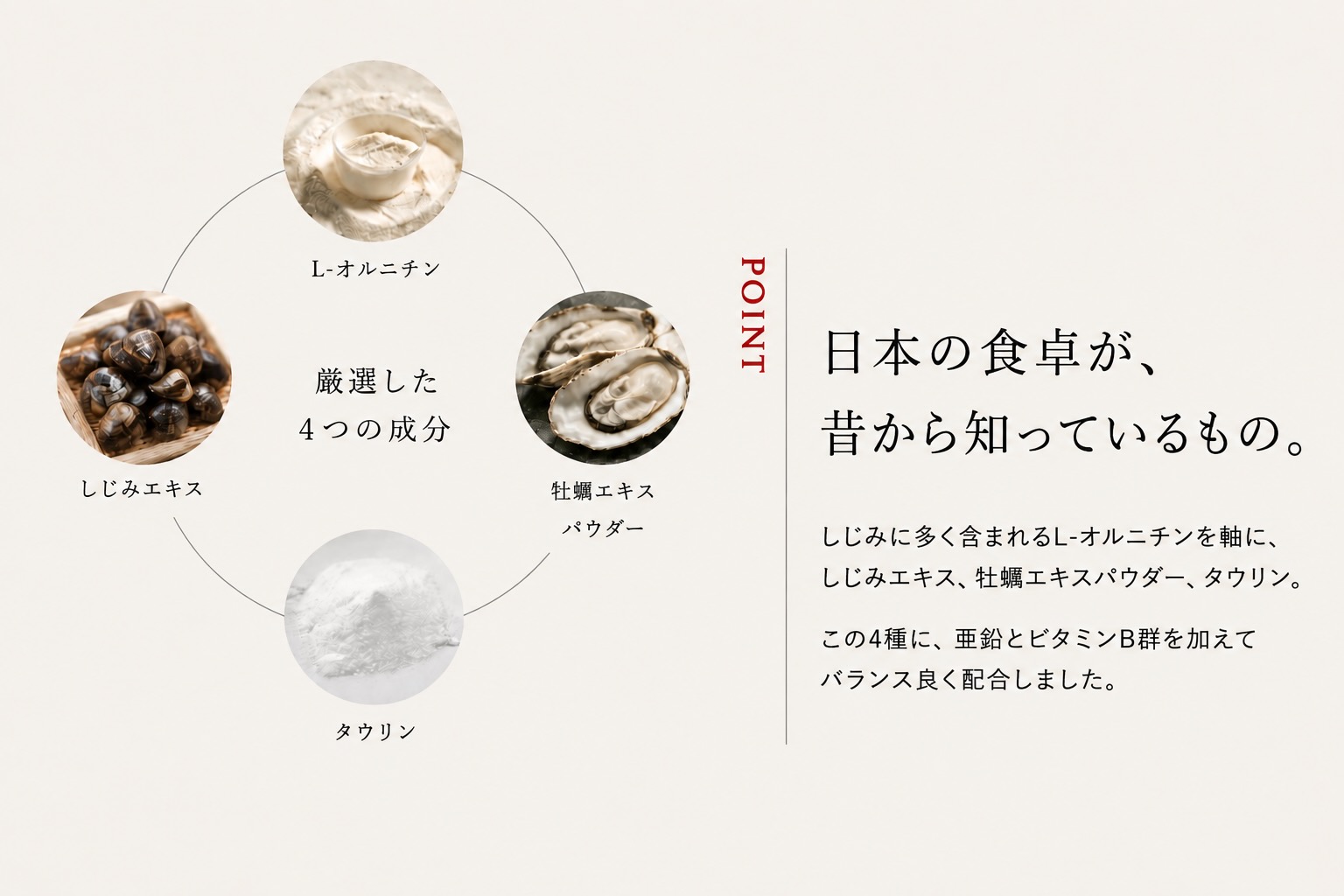 RESCUE 定期コース