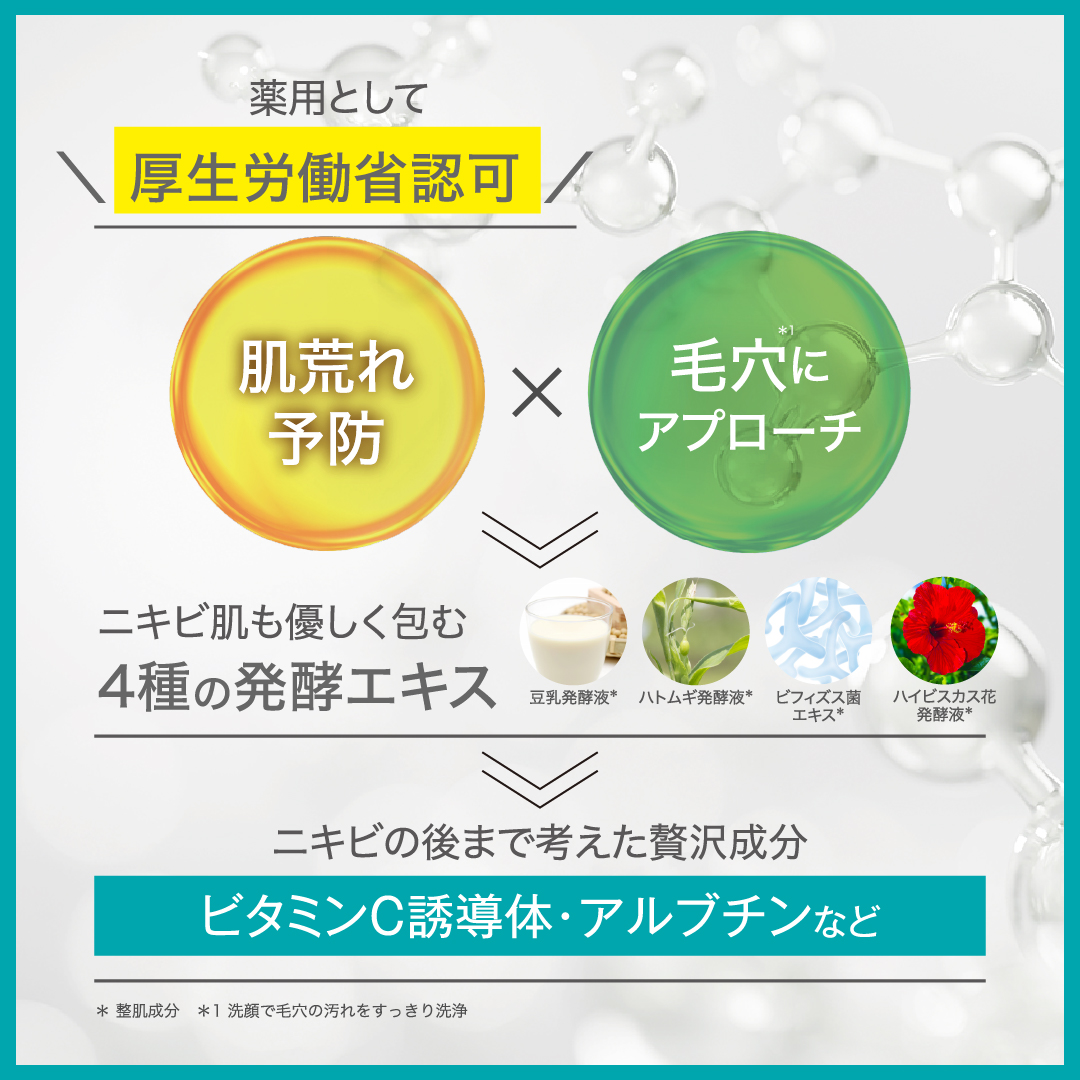 【　10％OFF＆送料無料　】　GGシリーズ　薬用GGホイップウォッシュ