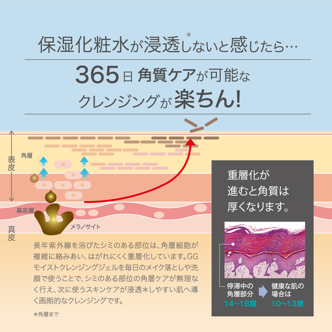 GWキャンペーン20％OFF GGシリーズ　GGモイストクレンジングジェル グリシルグリシン高配合 アゼライン酸高配合 こんにゃく スクラブ 角質ケア ピーリング エイジング 毛穴 ニキピタ 送料無料