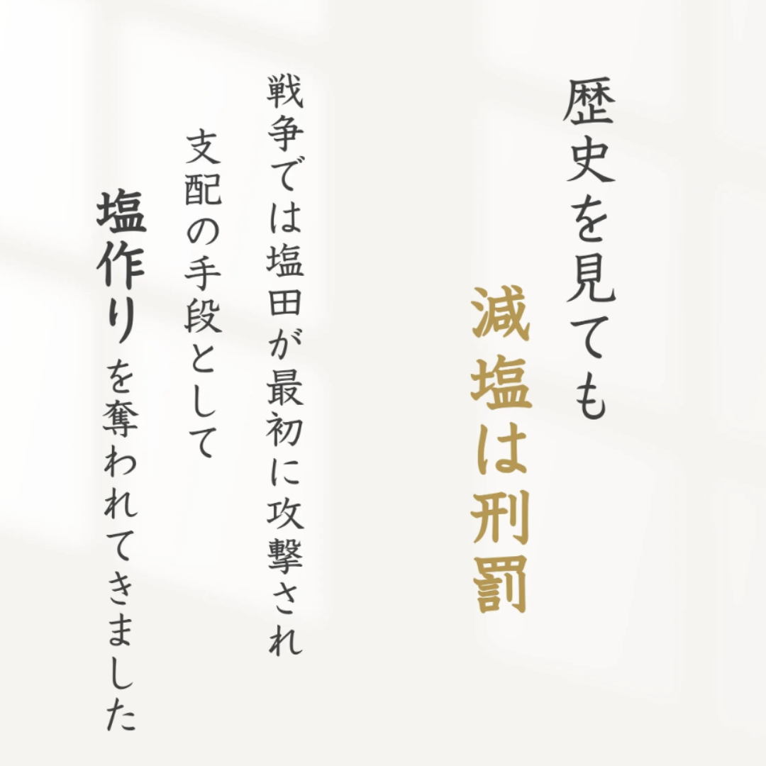 入浜式塩田法 超還元塩 100%天日 Harai -祓- 100g