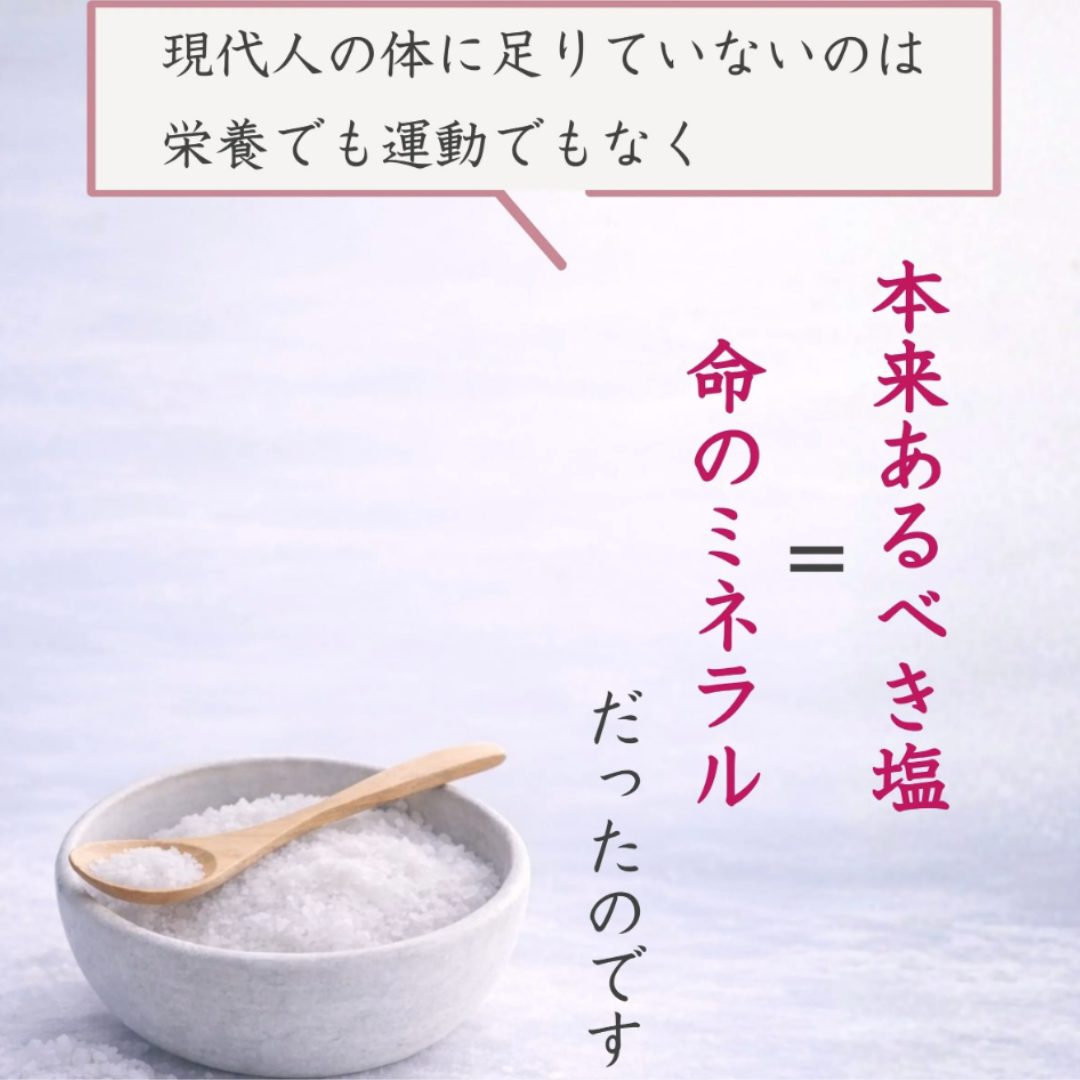 入浜式塩田法 超還元塩 100%天日 Harai -祓- 100g