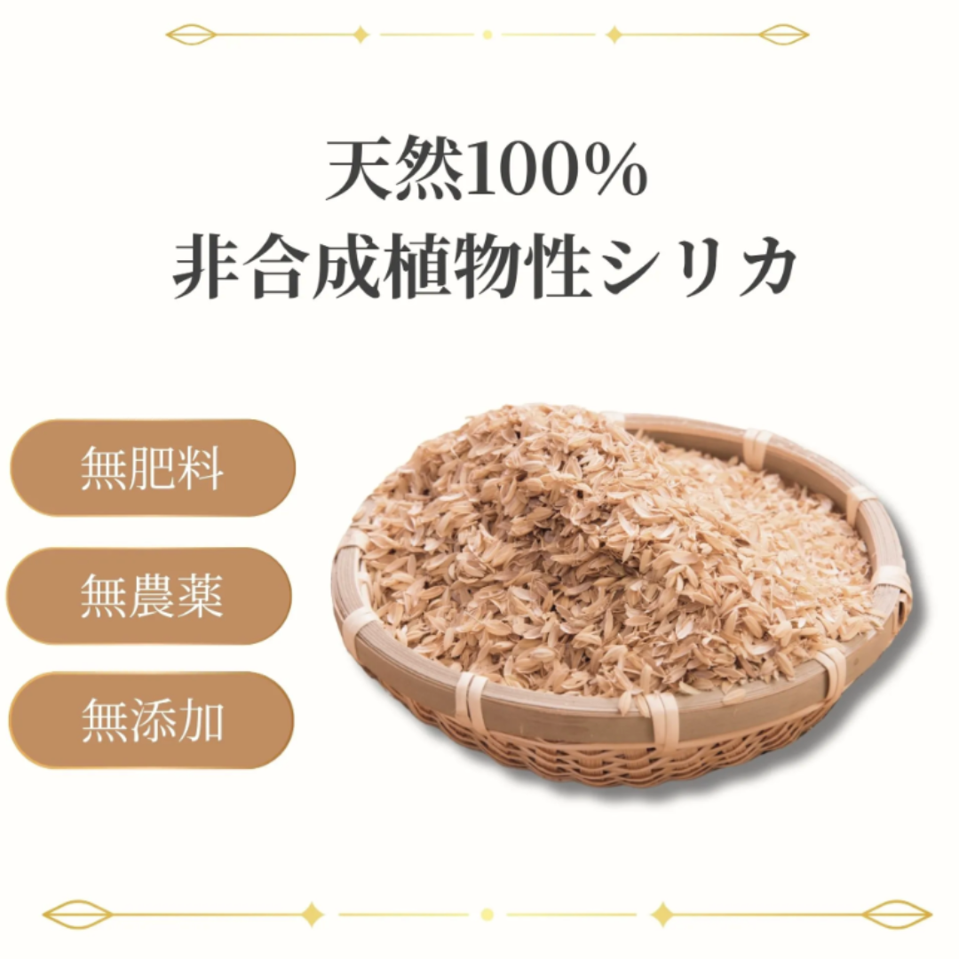 無肥料・無農薬もみ殻シリカパウダー 量子食品®︎Kami -神-