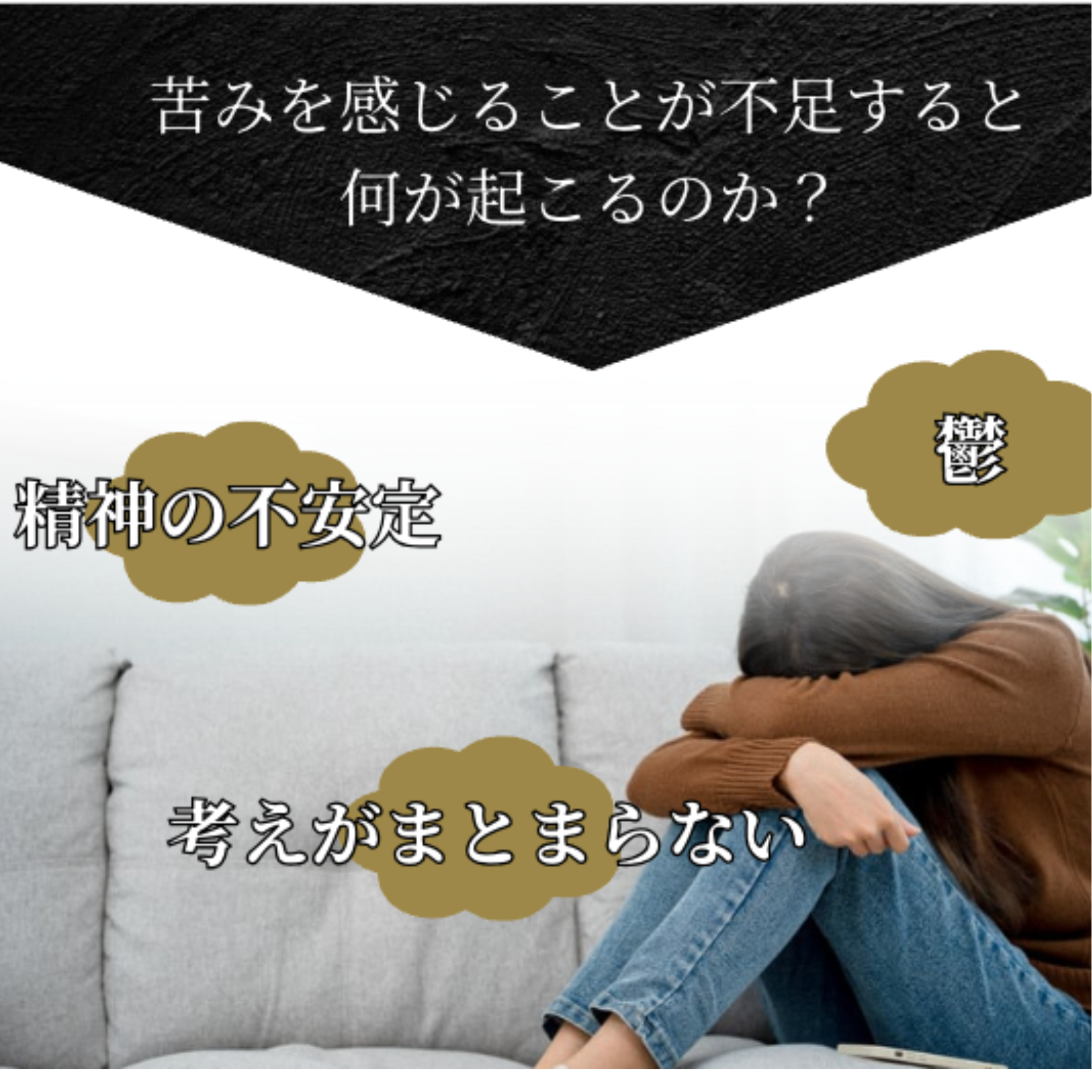 低音乾燥 沖縄原生林 春ウコンパウダー Seimei - 生命 - トラベルセット