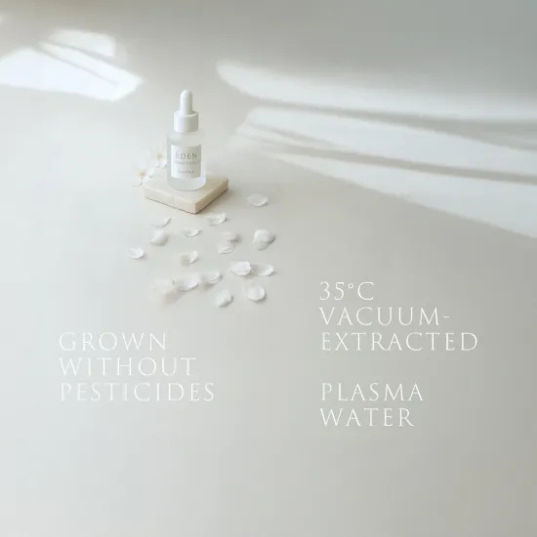 EDEN ONENESS ESSENCE 桜 50ml【季節限定品】