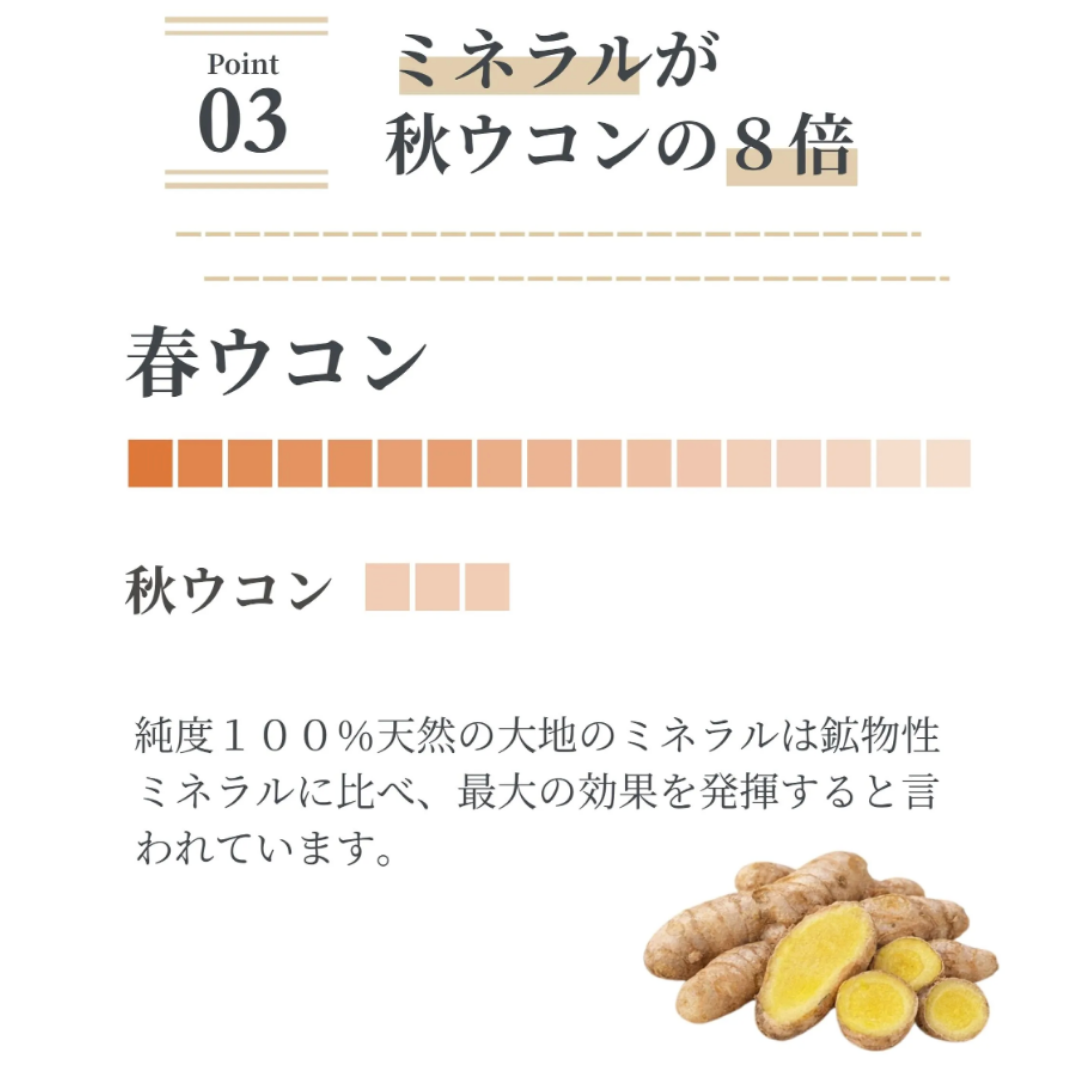 低温乾燥 沖縄原生林 春ウコンパウダー Seimei -生命-