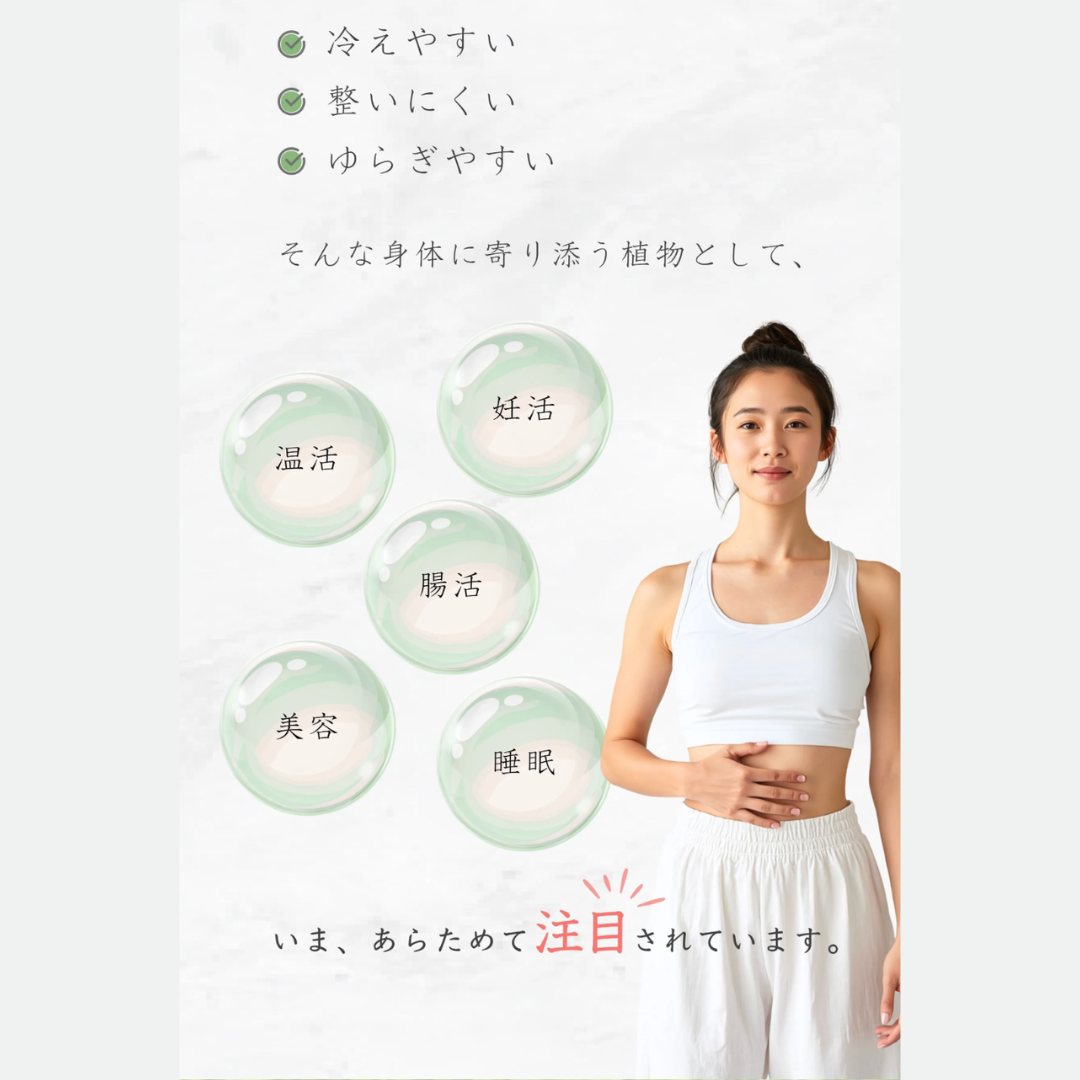 量子食品®︎ 神と青よもぎ