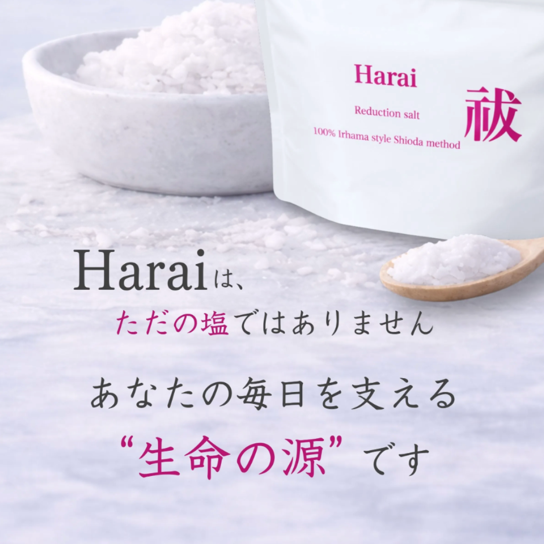 入浜式塩田法 超還元塩 100%天日 Harai -祓- 100g