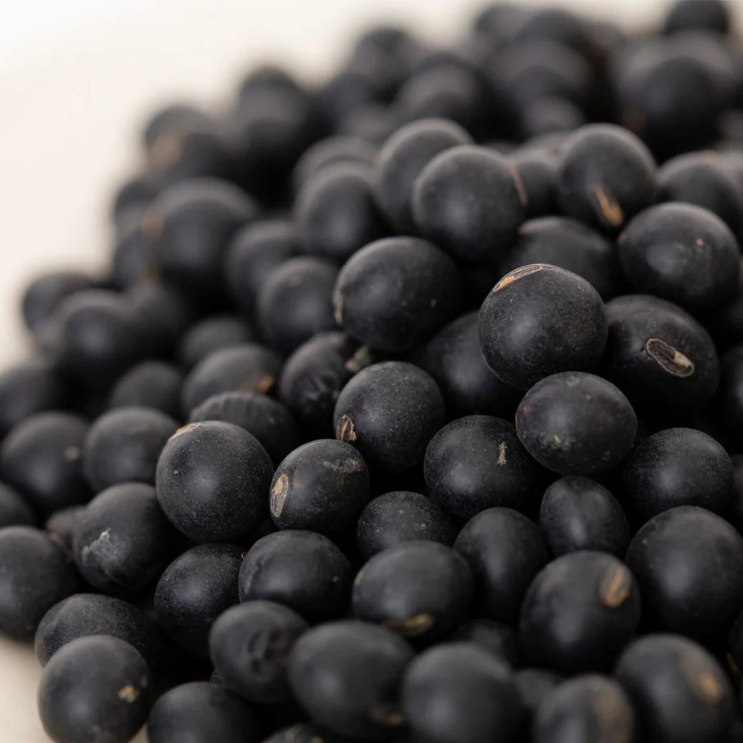 黒千石大豆 【原種】 500g