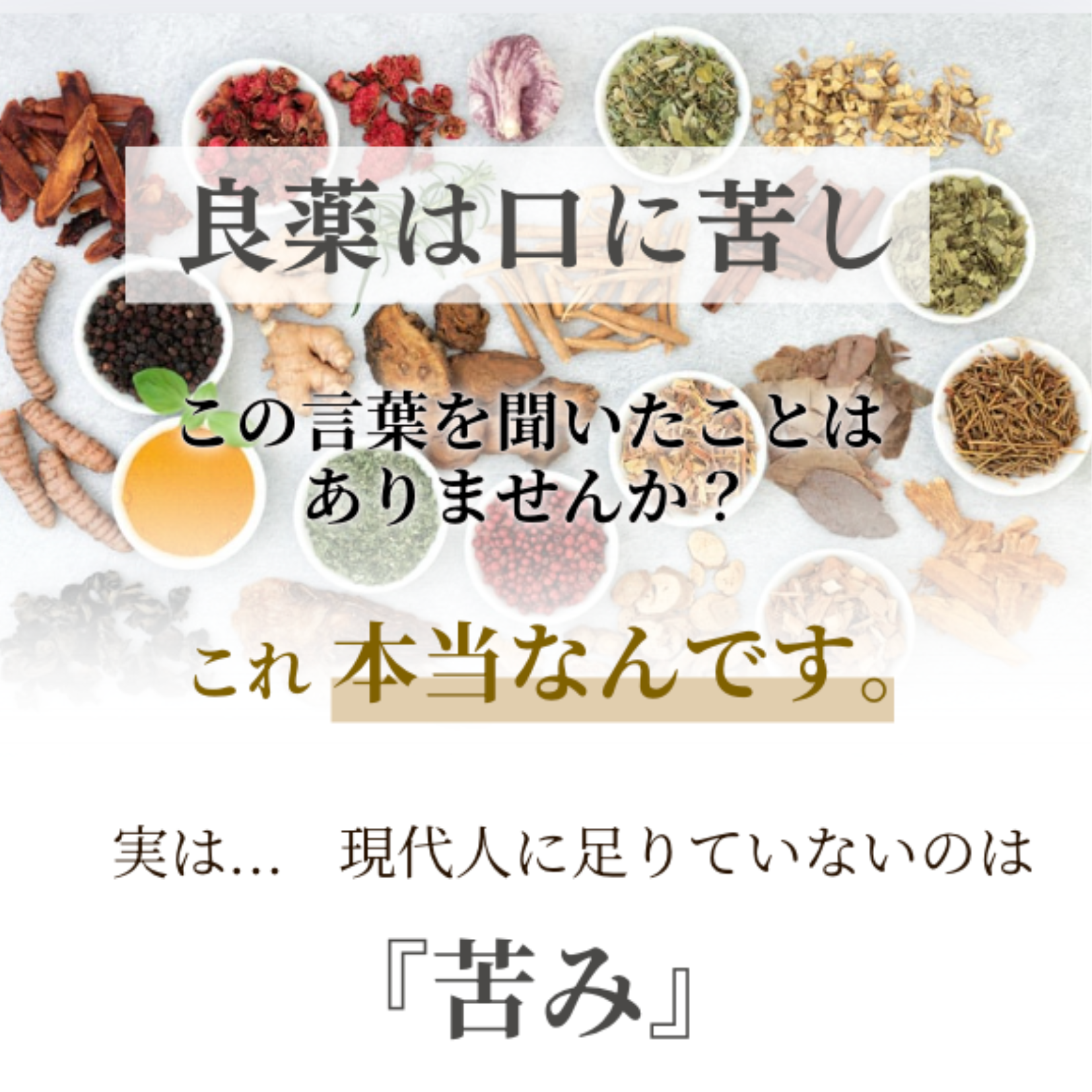 低温乾燥 沖縄原生林 春ウコンパウダー Seimei -生命-