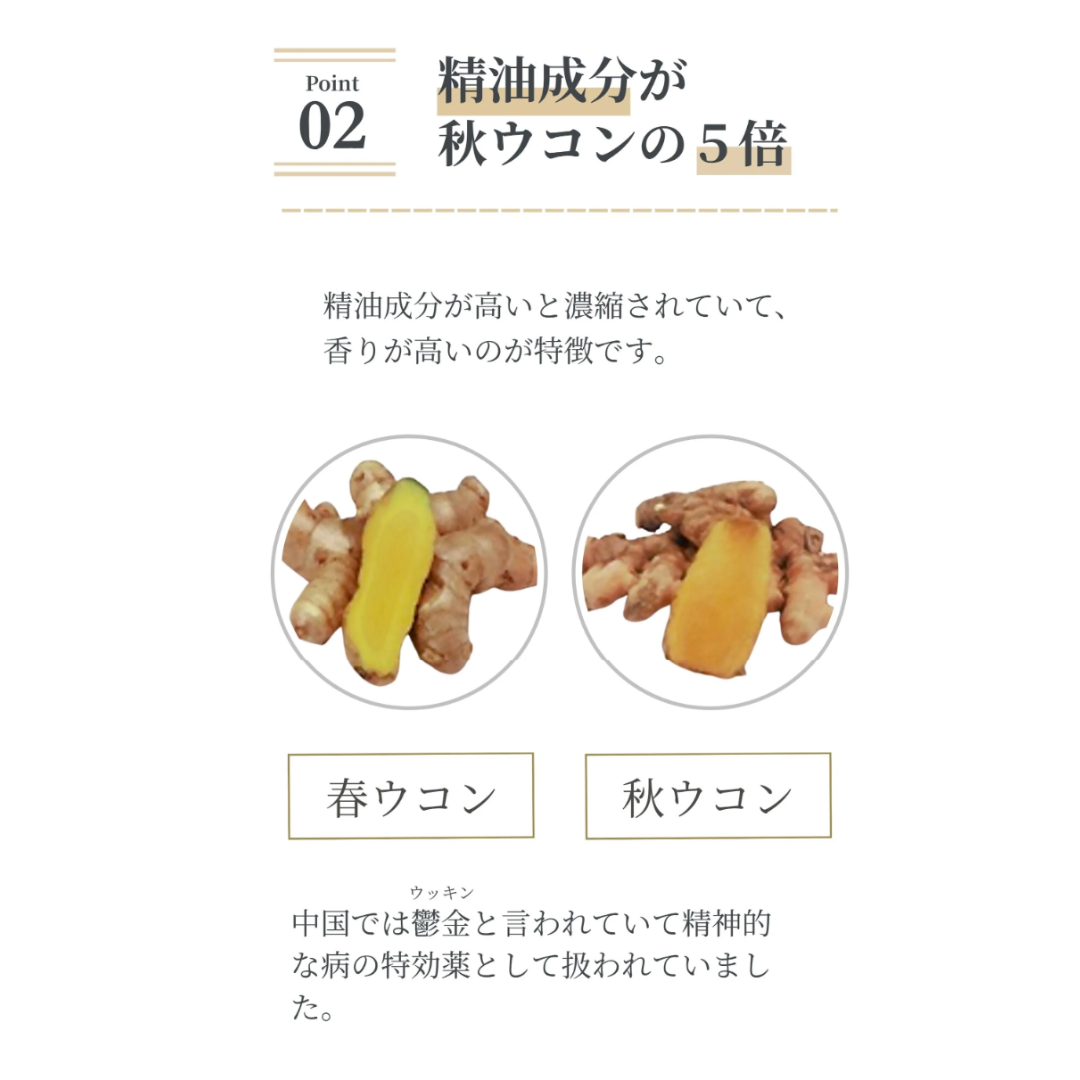 リニューアル記念 『Seimei-生命- 2BUY1セット』 Seimei 2個購入で1個プレゼント（合計3個お届け） ／ お一人様1回限り 【キャンペーン期間】2026/4/15（水）8:00 ～ 2026/4/30（木）23:59まで