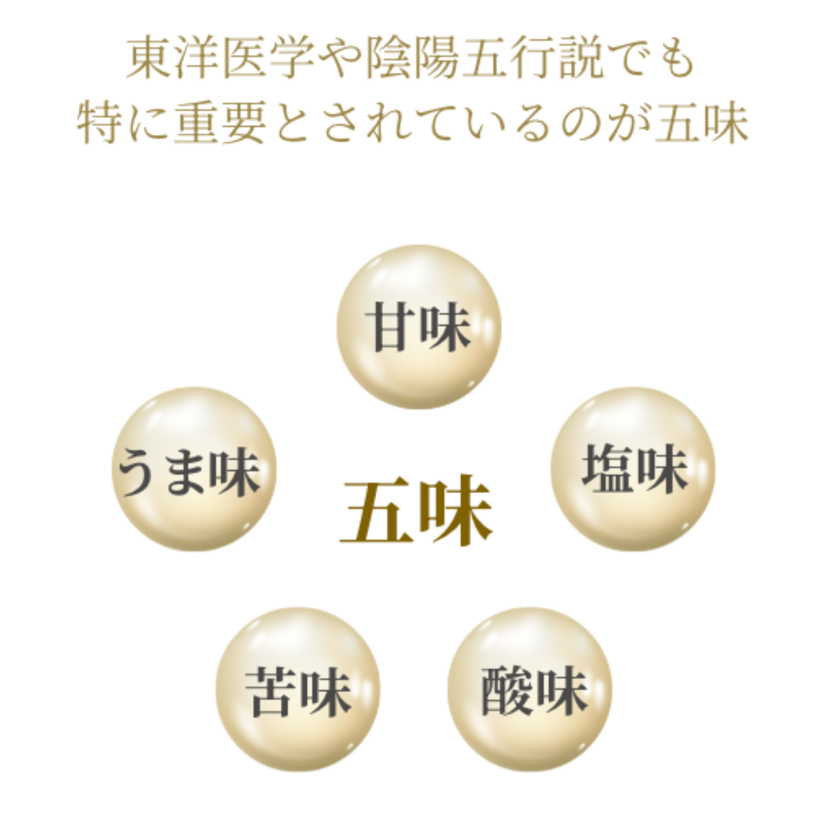 低音乾燥 沖縄原生林 春ウコンパウダー Seimei - 生命 - トラベルセット