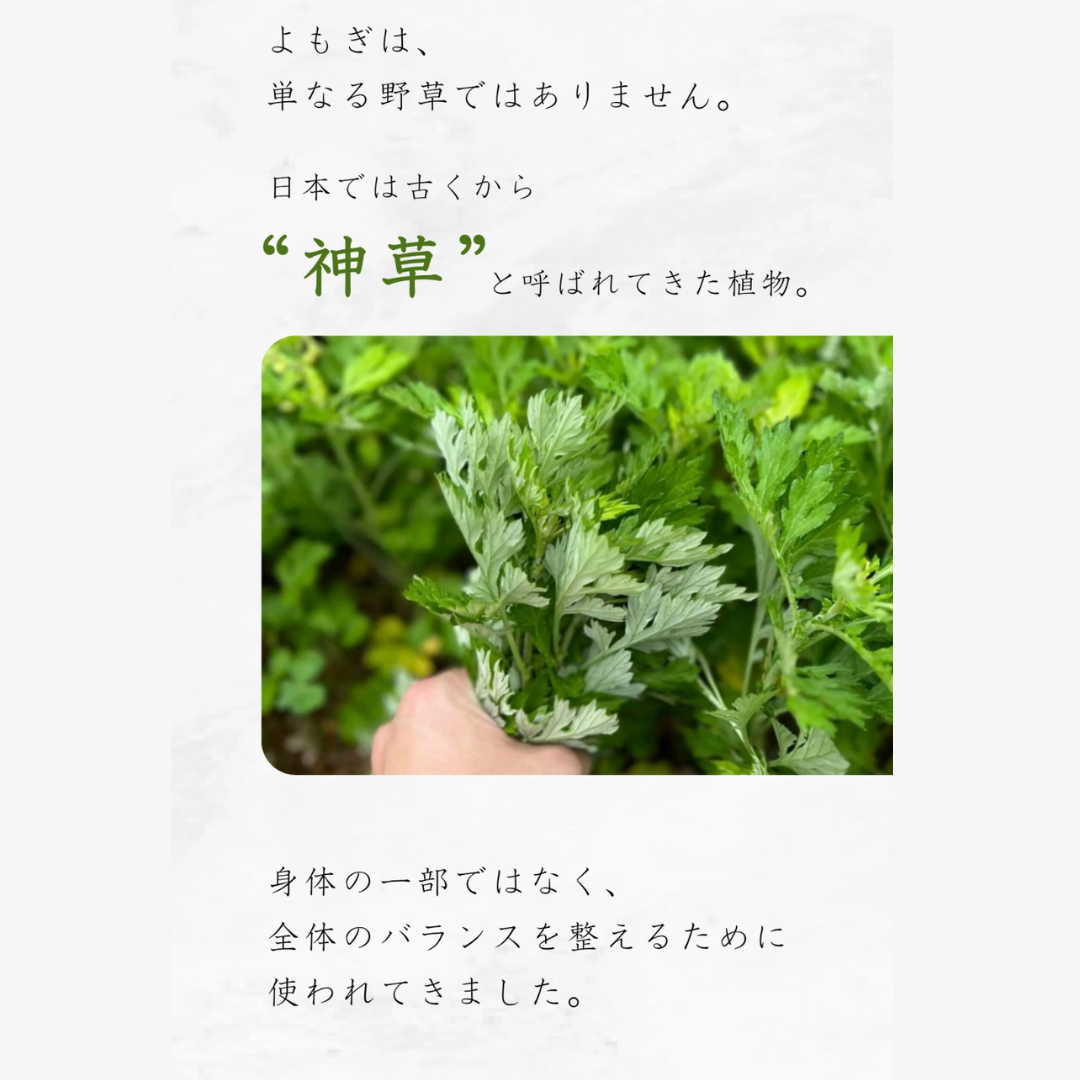 量子食品®︎ 神と青よもぎ