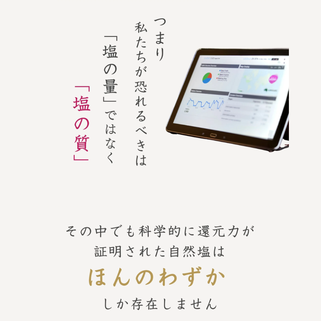 入浜式塩田法 超還元塩 100%天日 Harai -祓- 100g