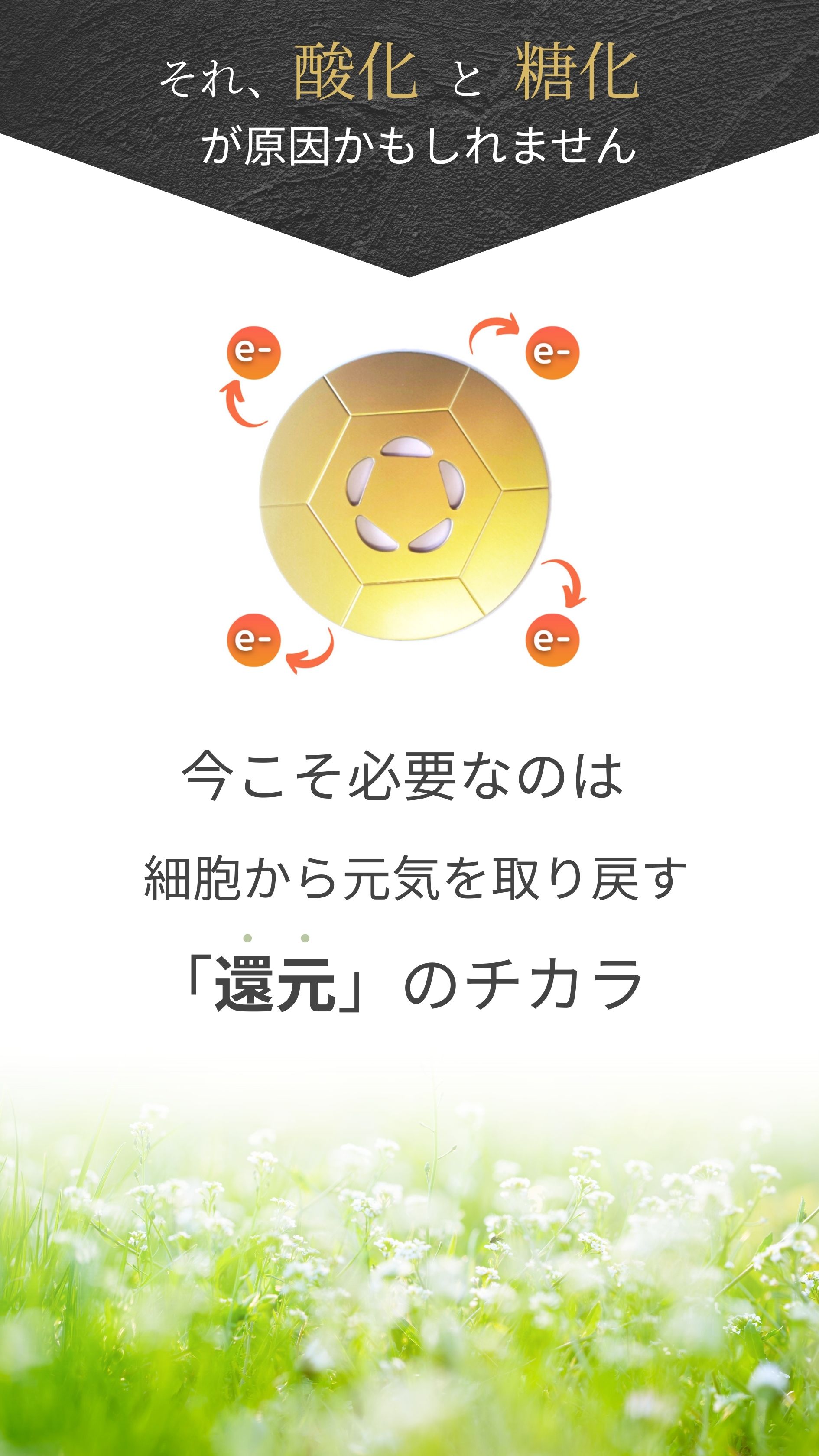 それ酸化と糖化