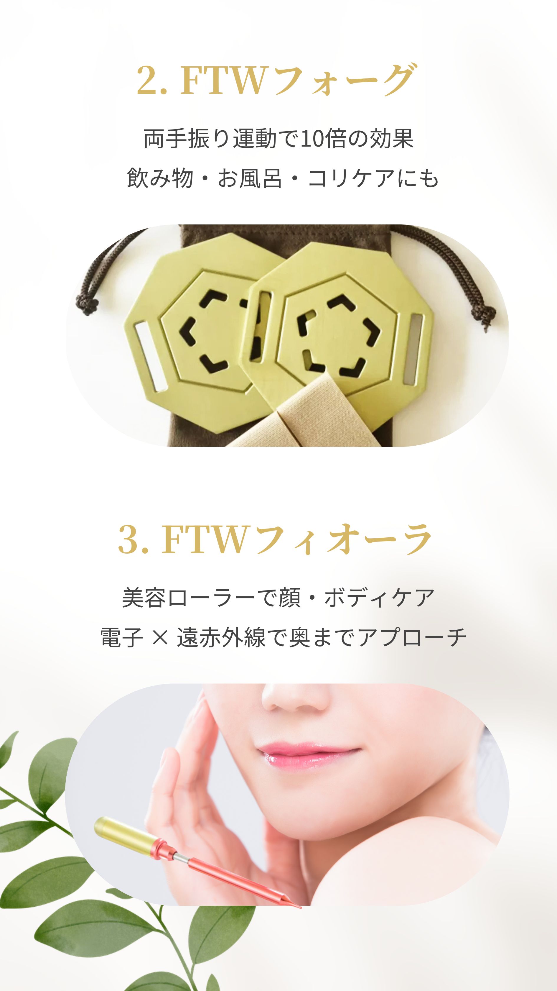 2.FTWフォーグ