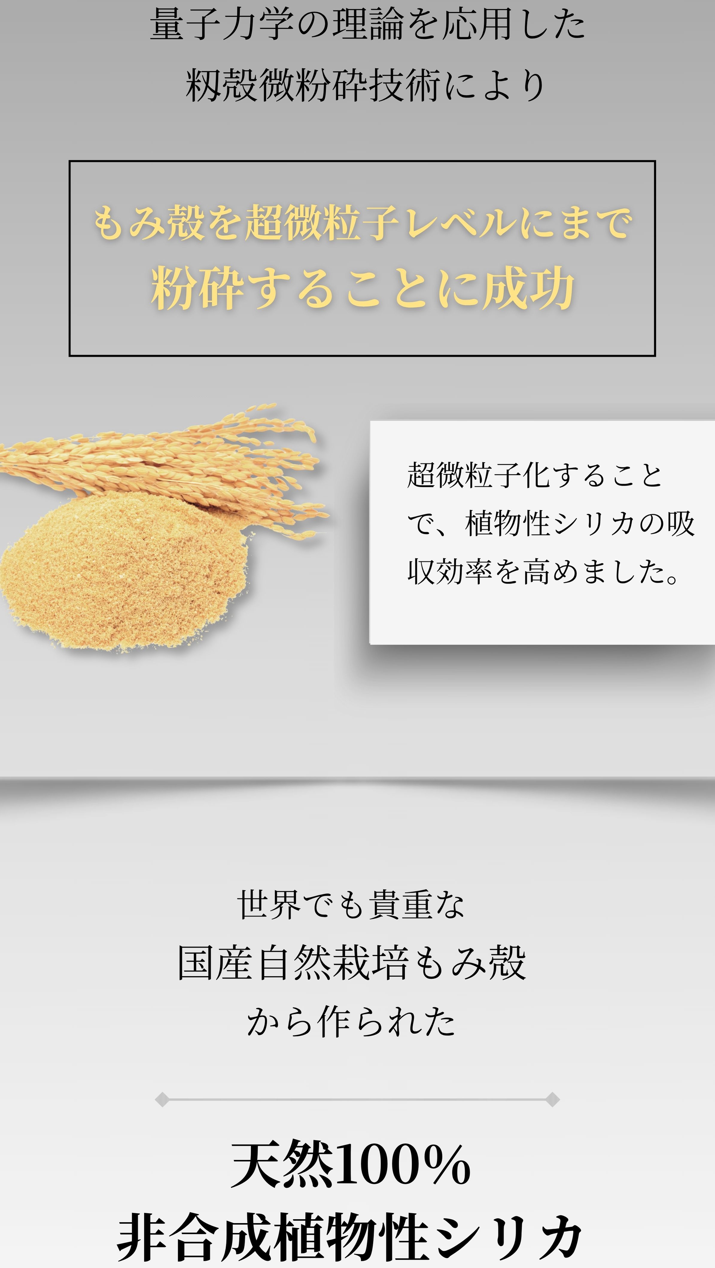 量子力学の理論