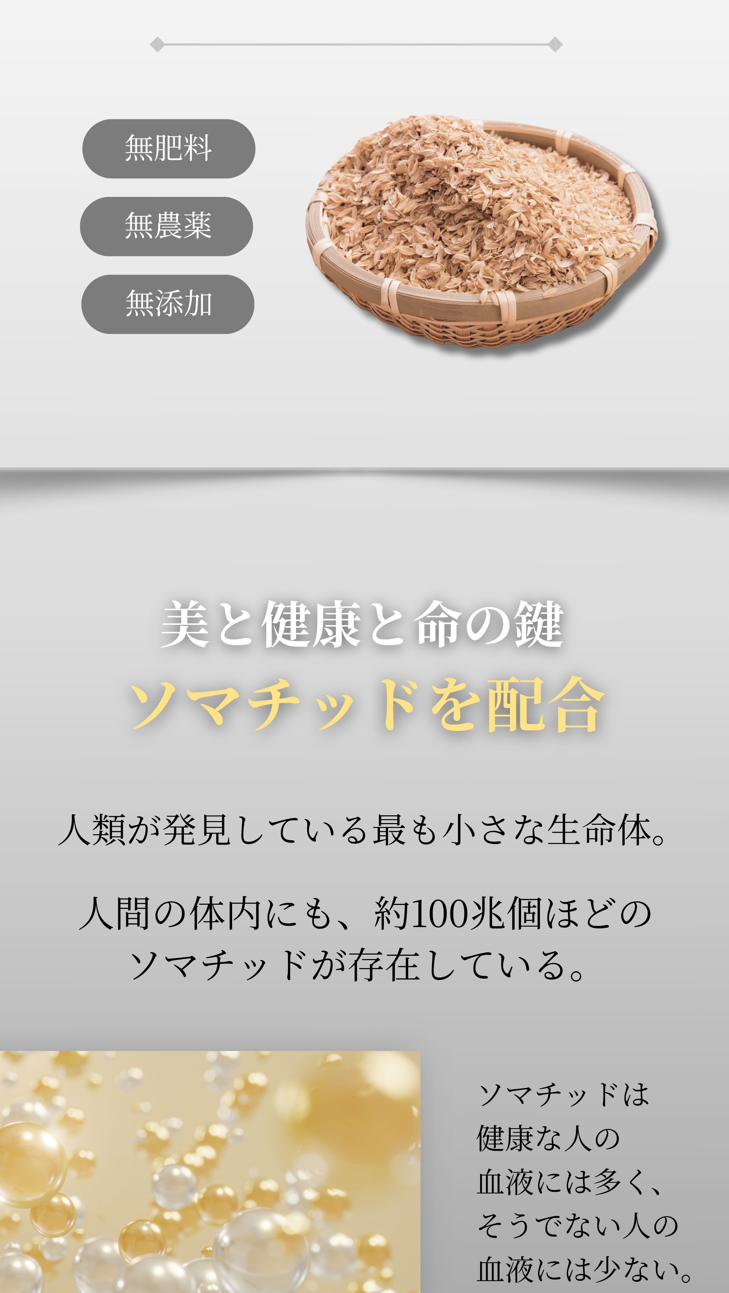 無肥料・無農薬・無添加