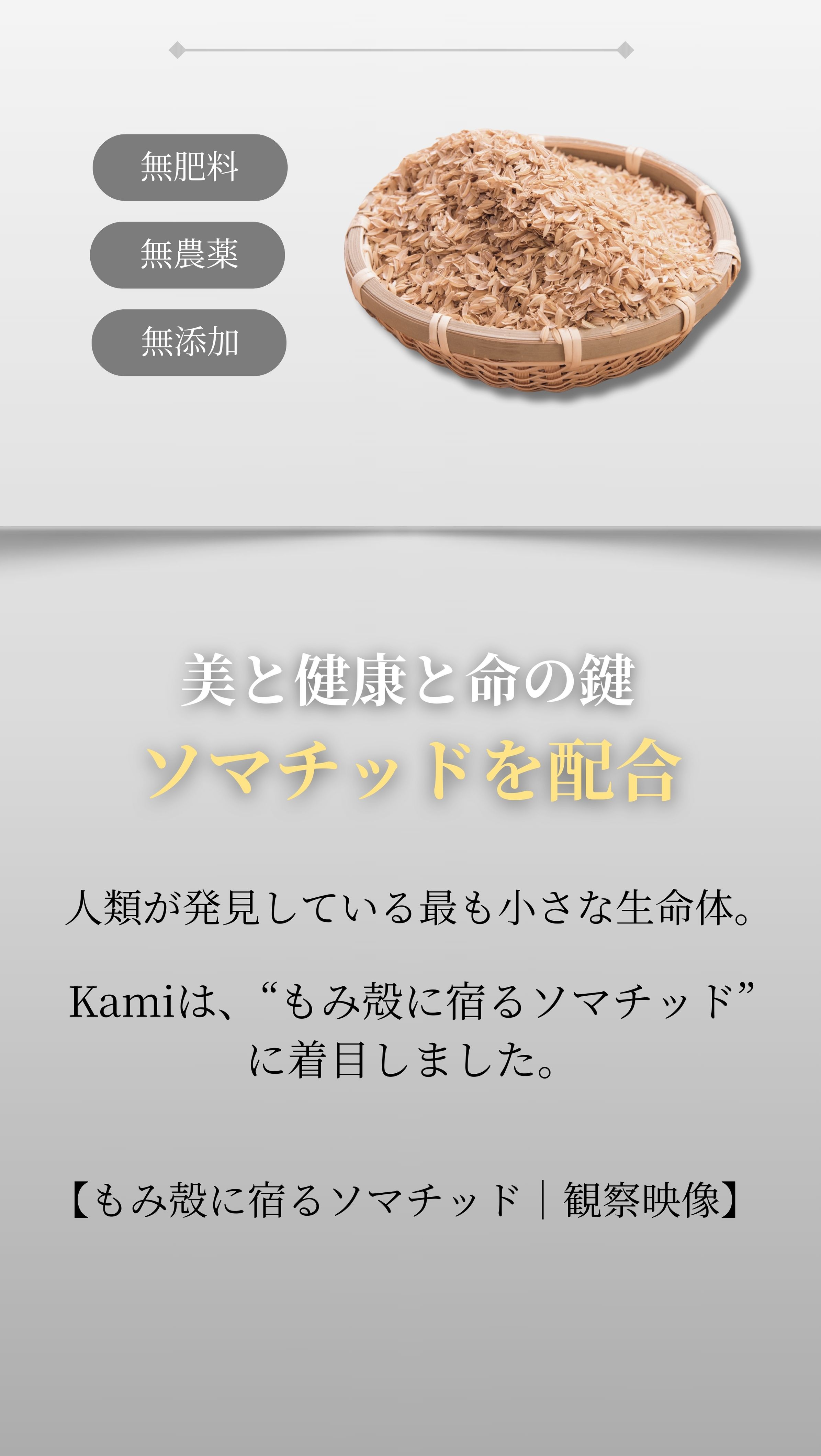 無肥料・無農薬・無添加