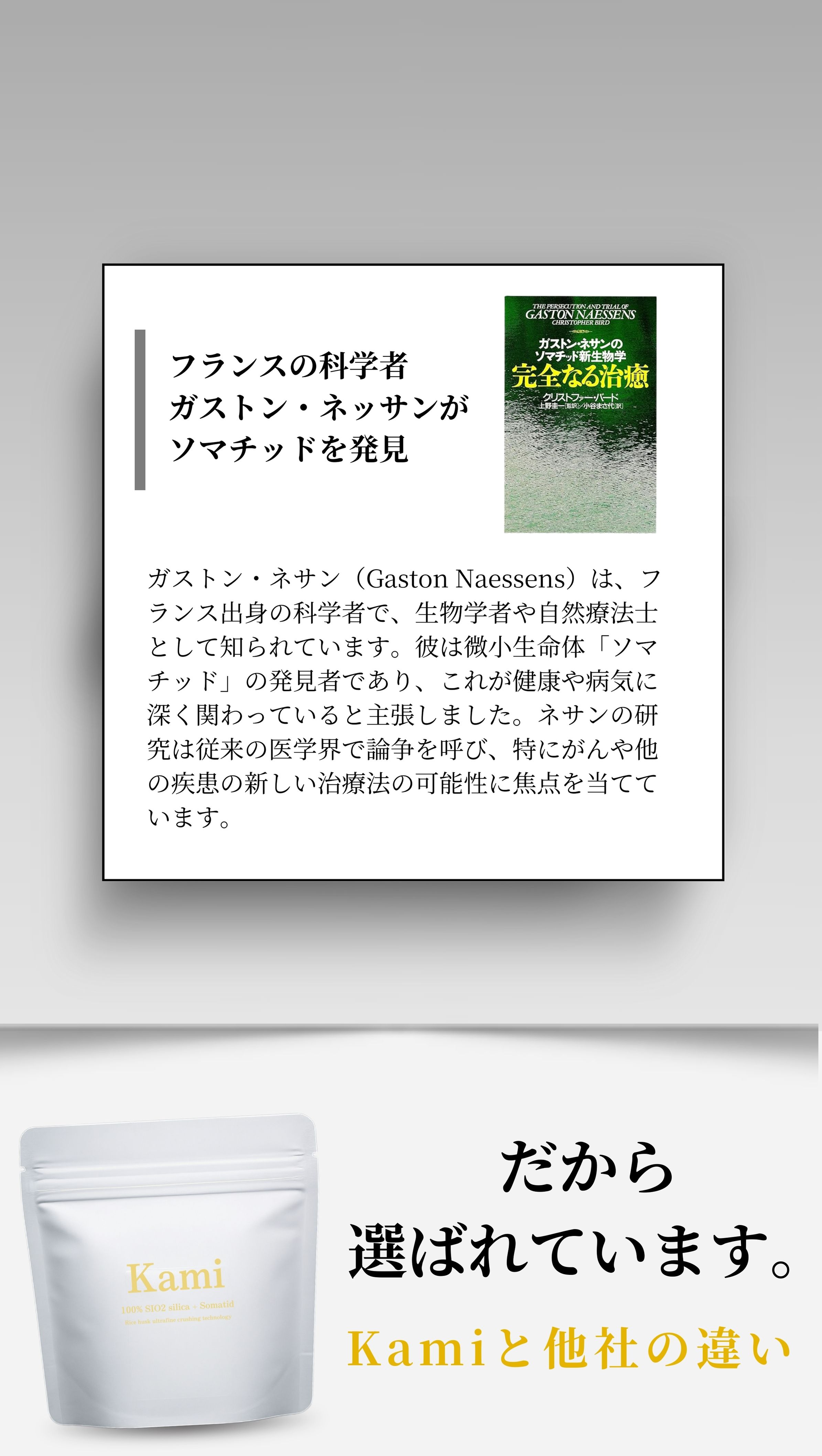 ガストン・ネッサン