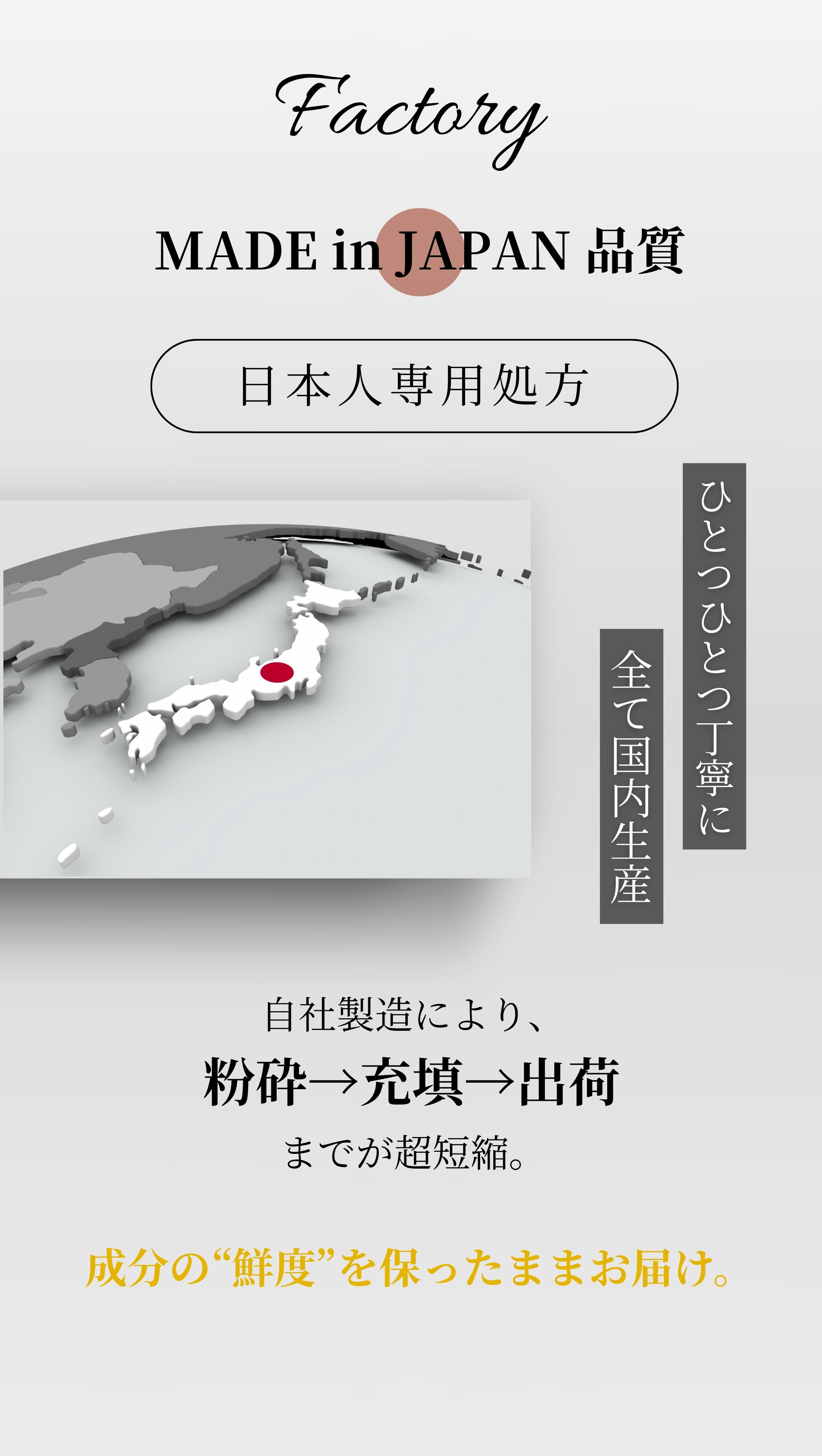 日本人専用処方