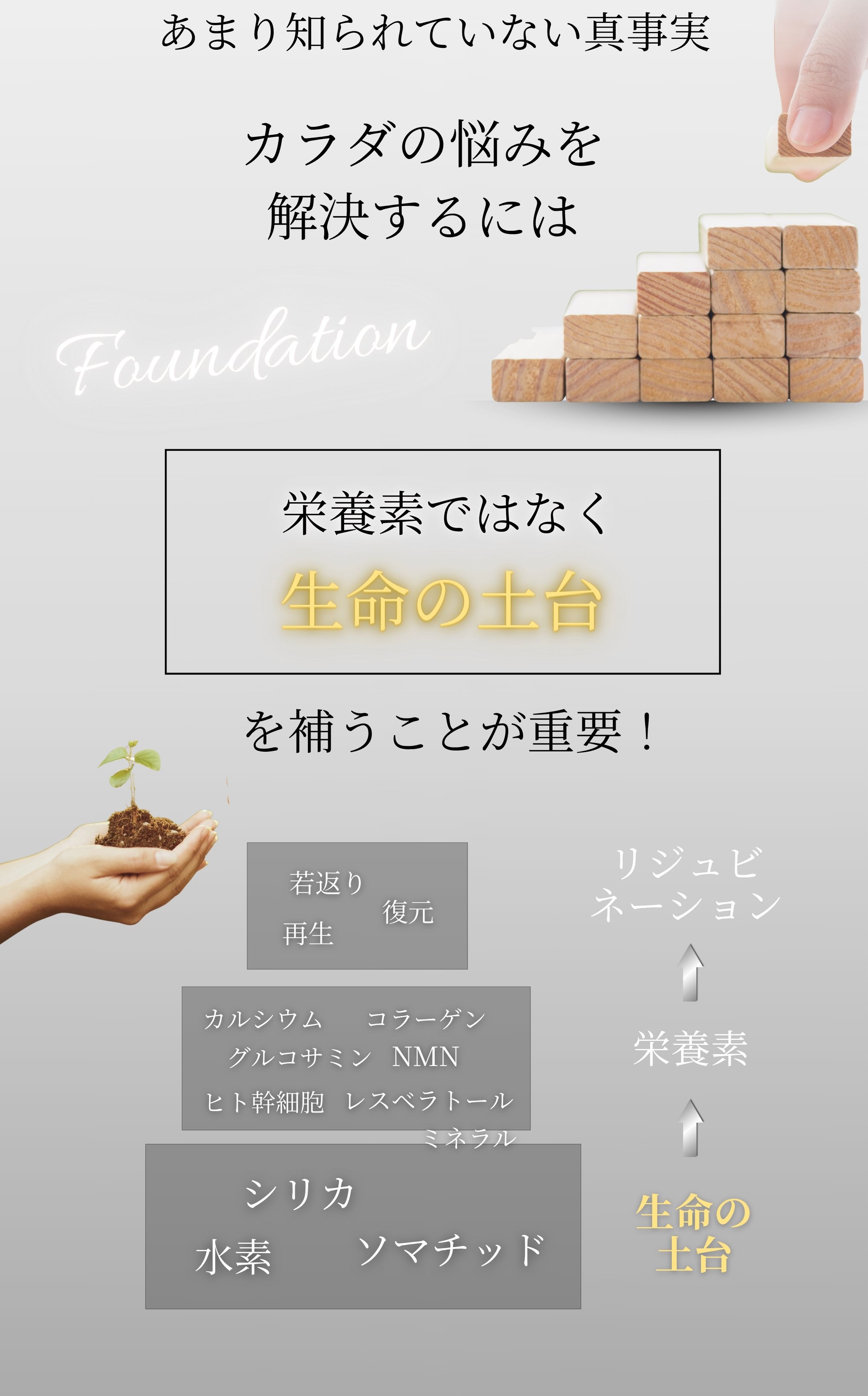 あまり知られていない真事実