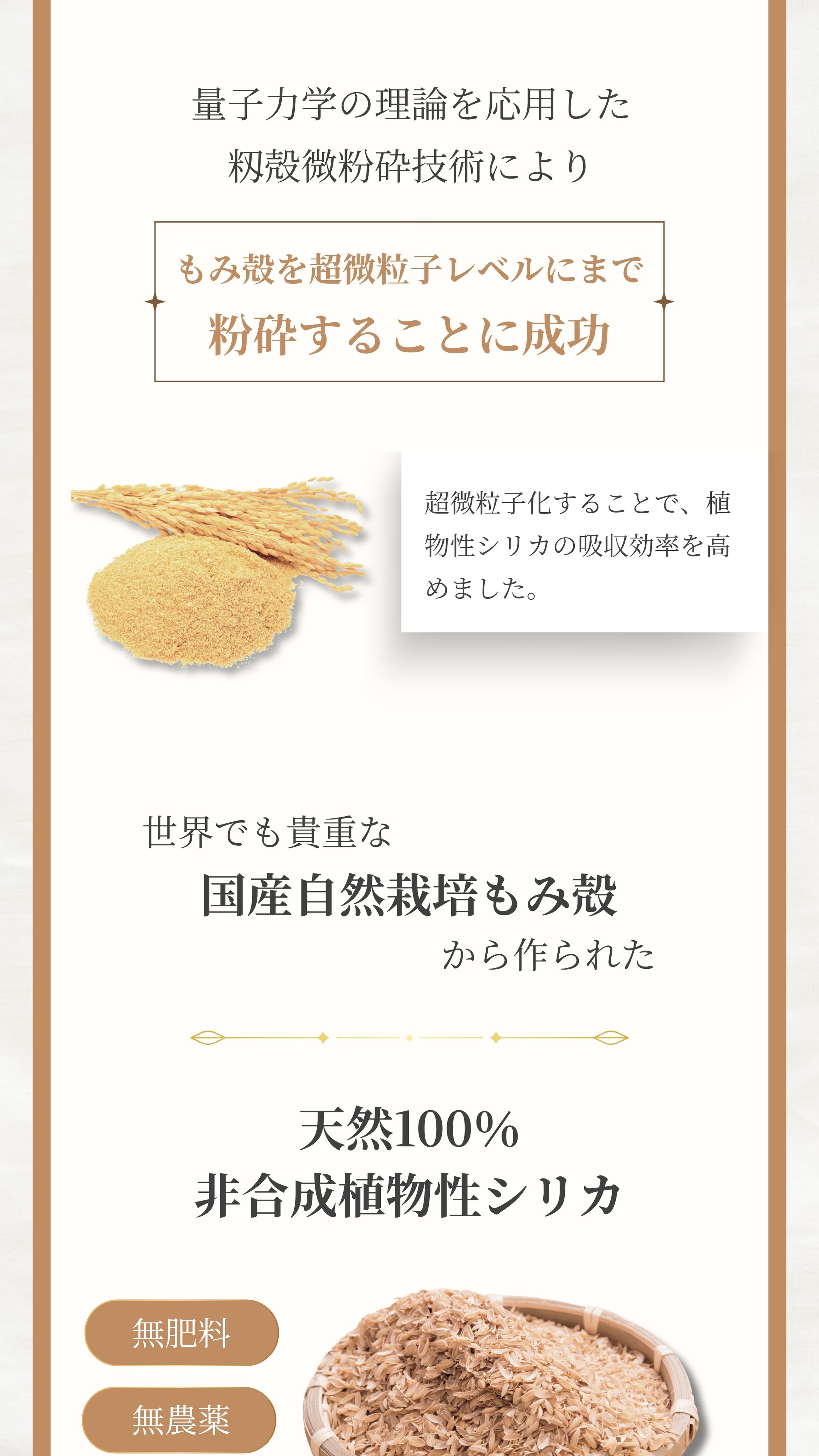 量子力学の理論