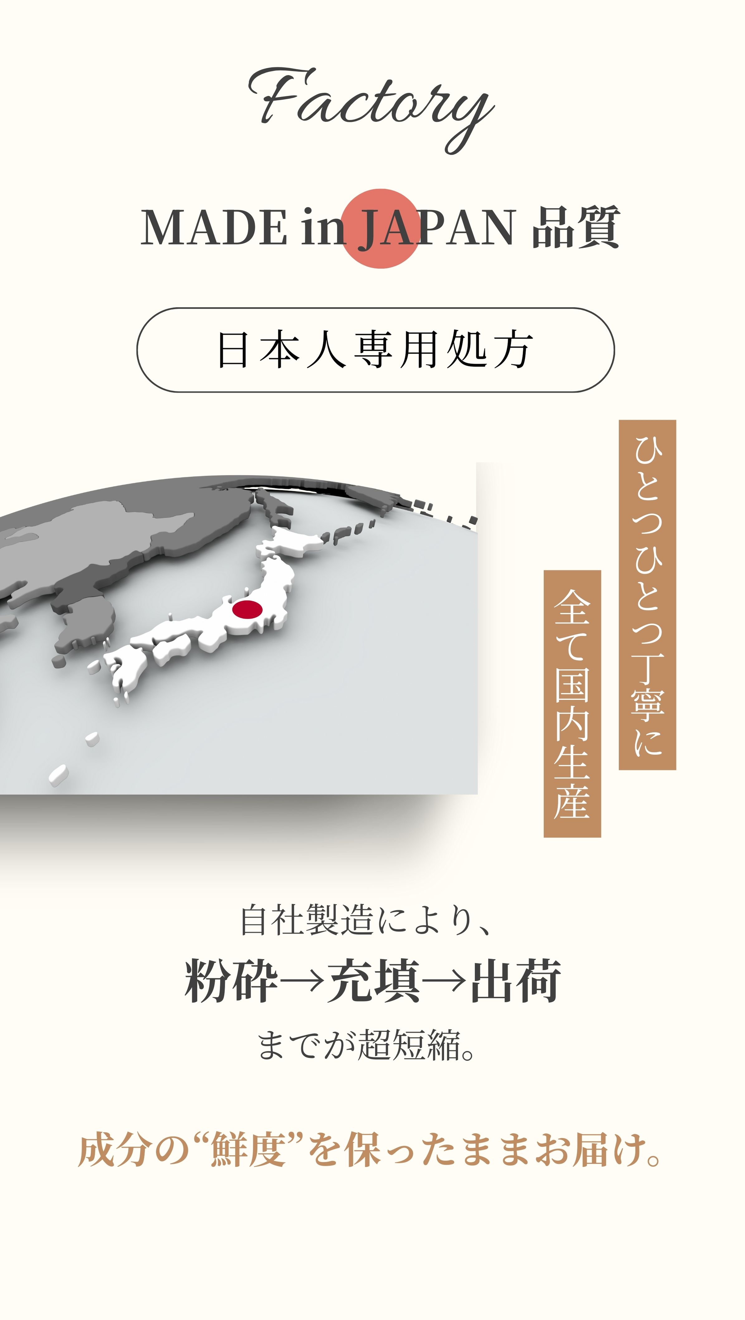 日本人専用処方