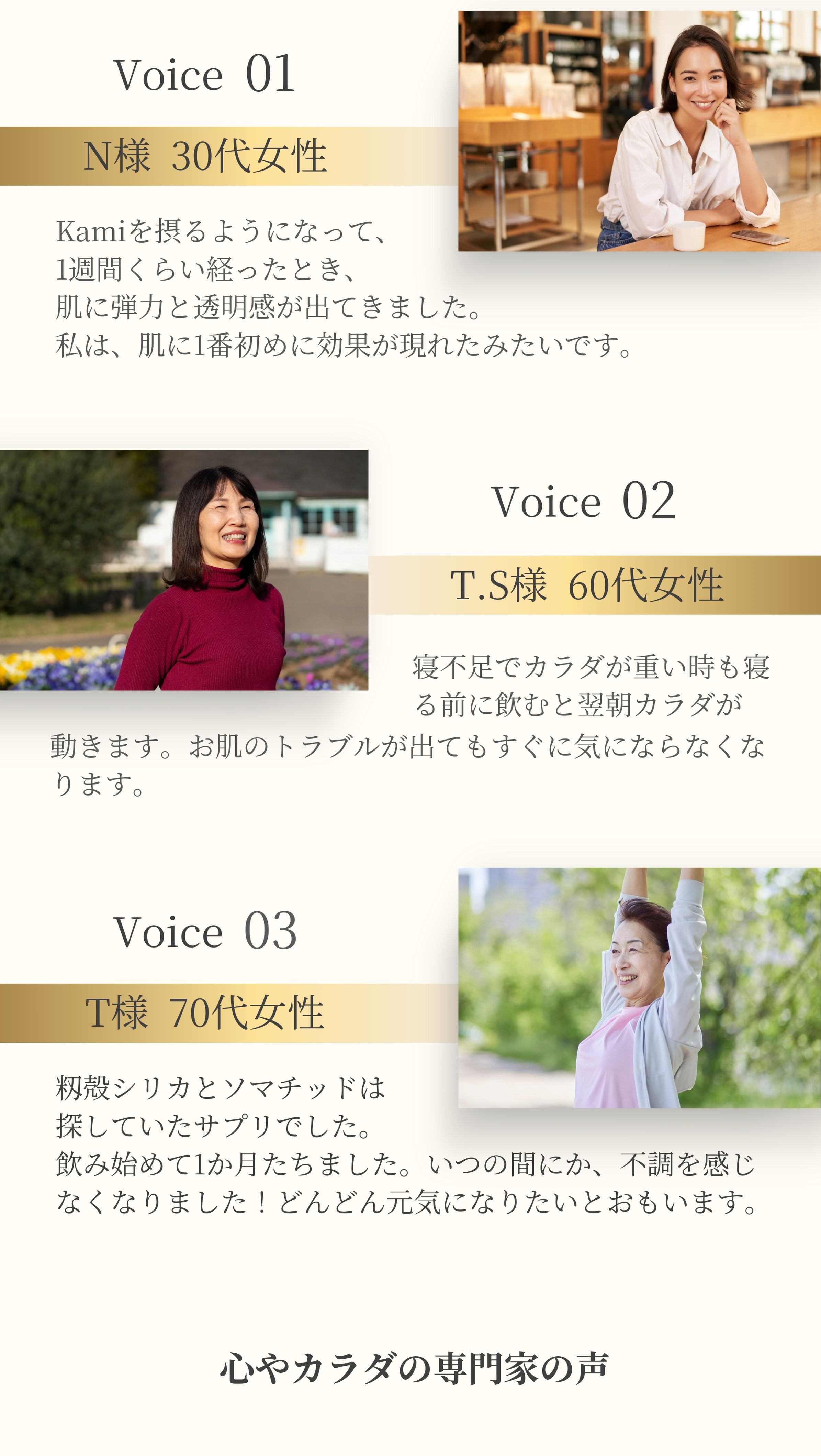 Voice01
