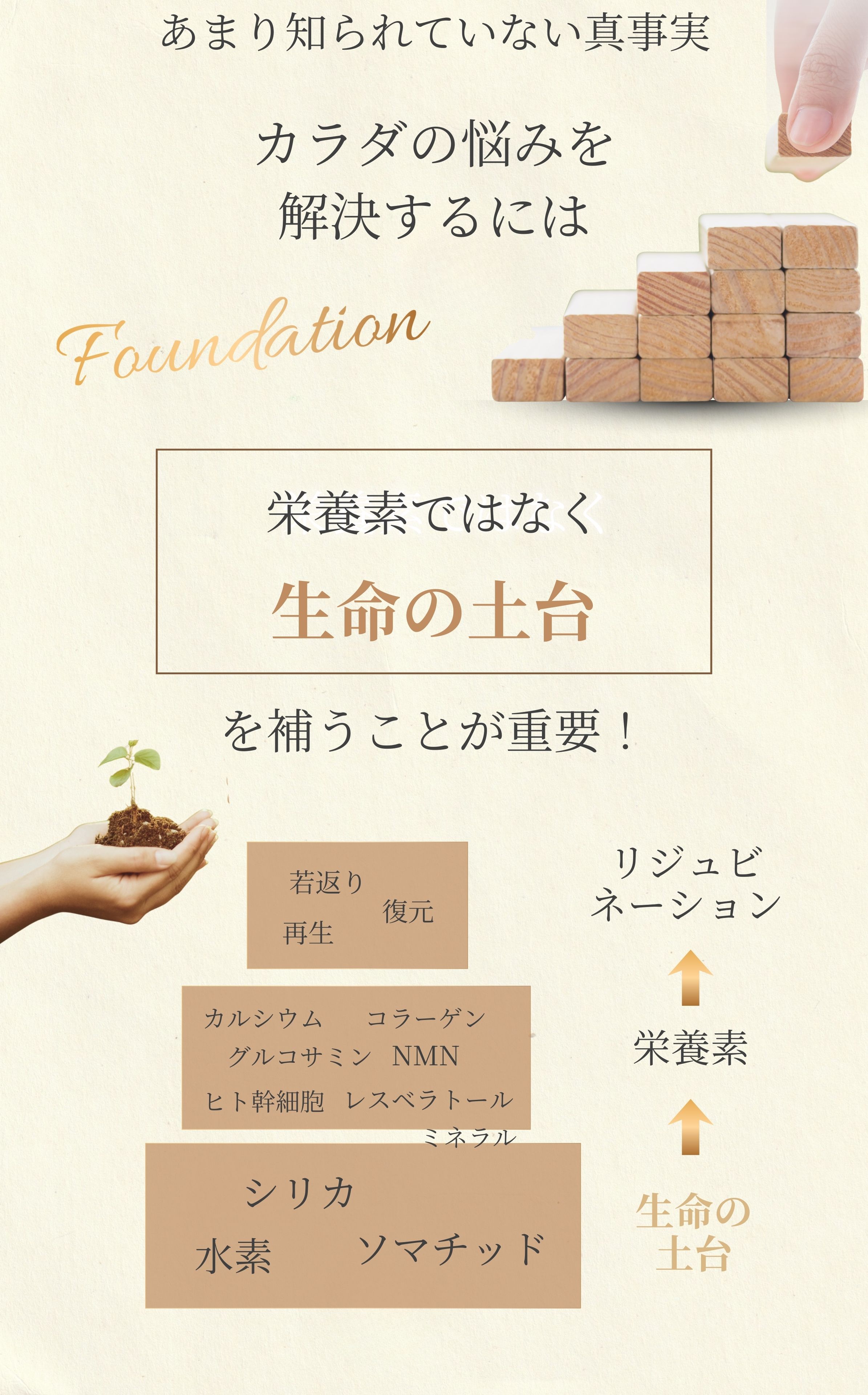 あまり知られていない真事実