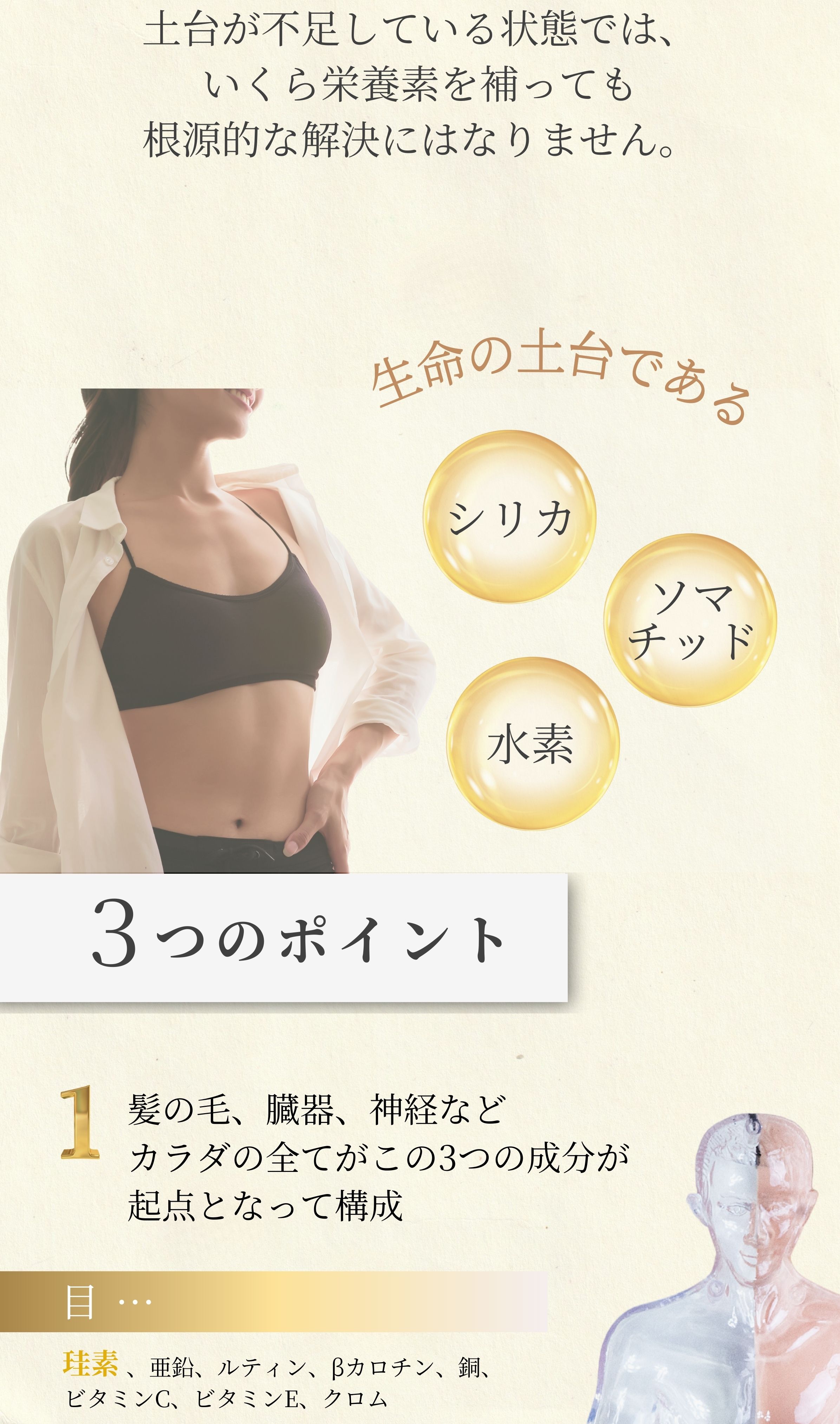 生命の土台である