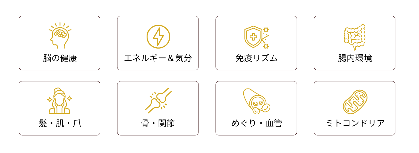Kami 何にいいのか（8アイコン）
