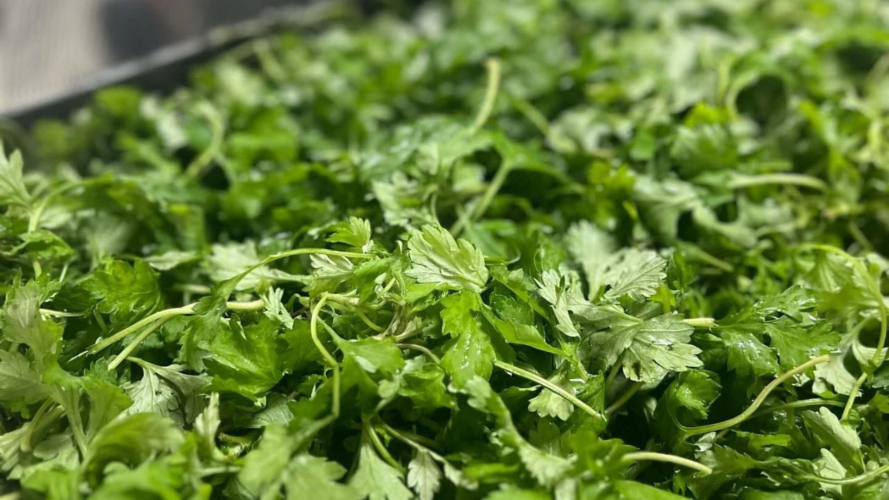 量子食品®︎ 神と青よもぎと同じ沖縄県産青よもぎ
