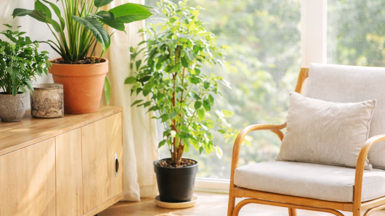 おすすめユーザーイメージ