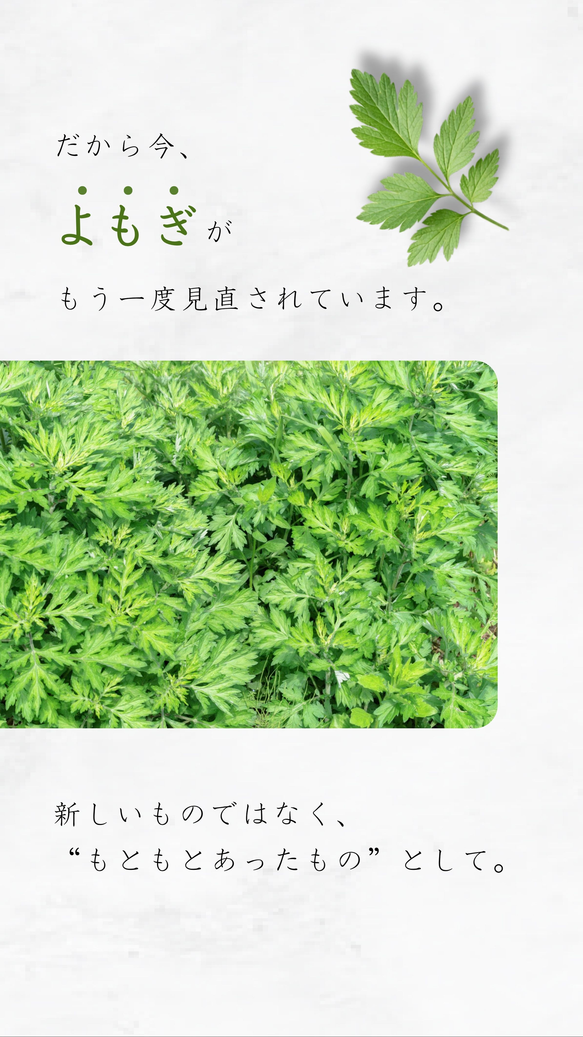 だから今、