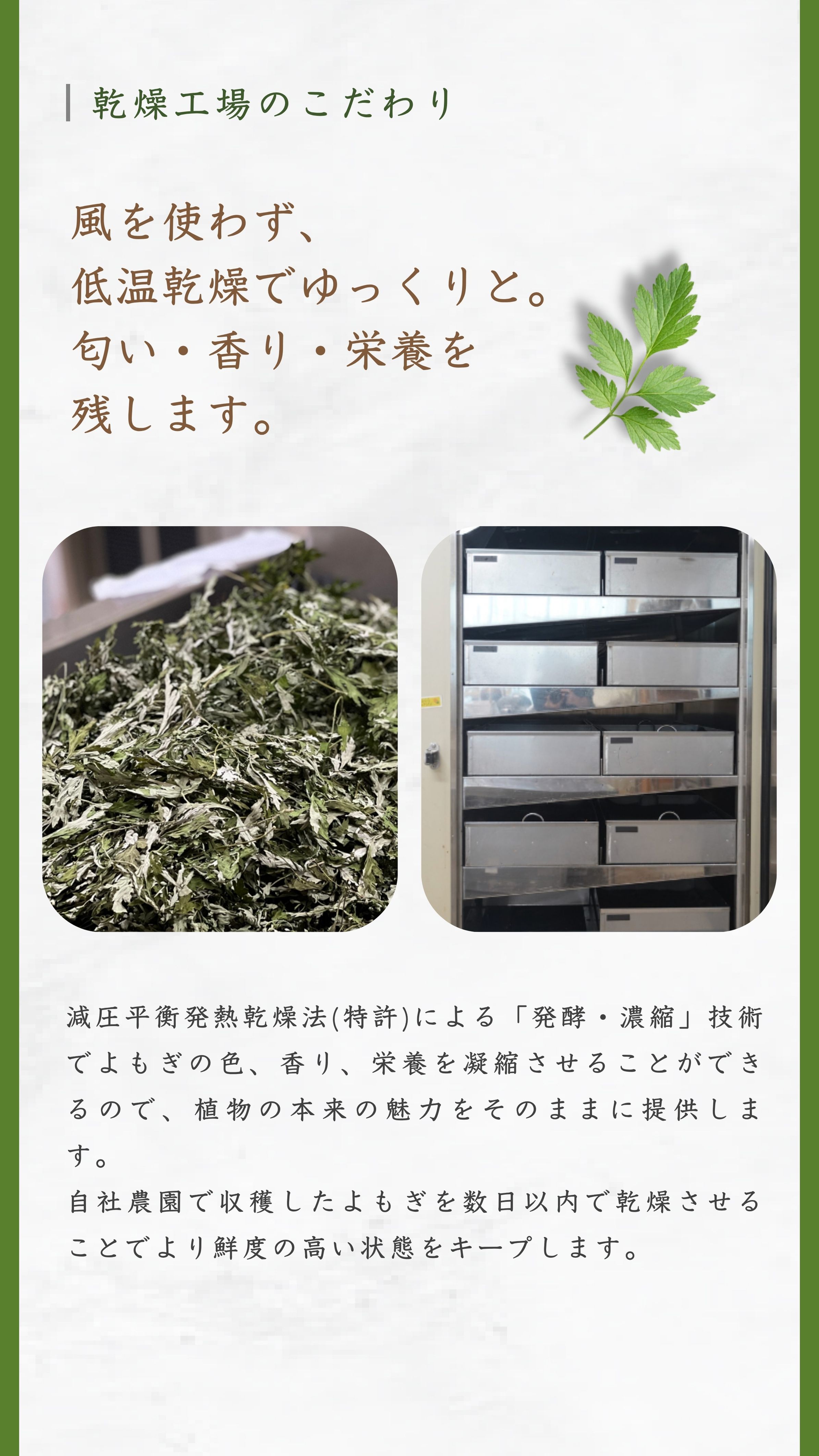 乾燥工場のこだわり