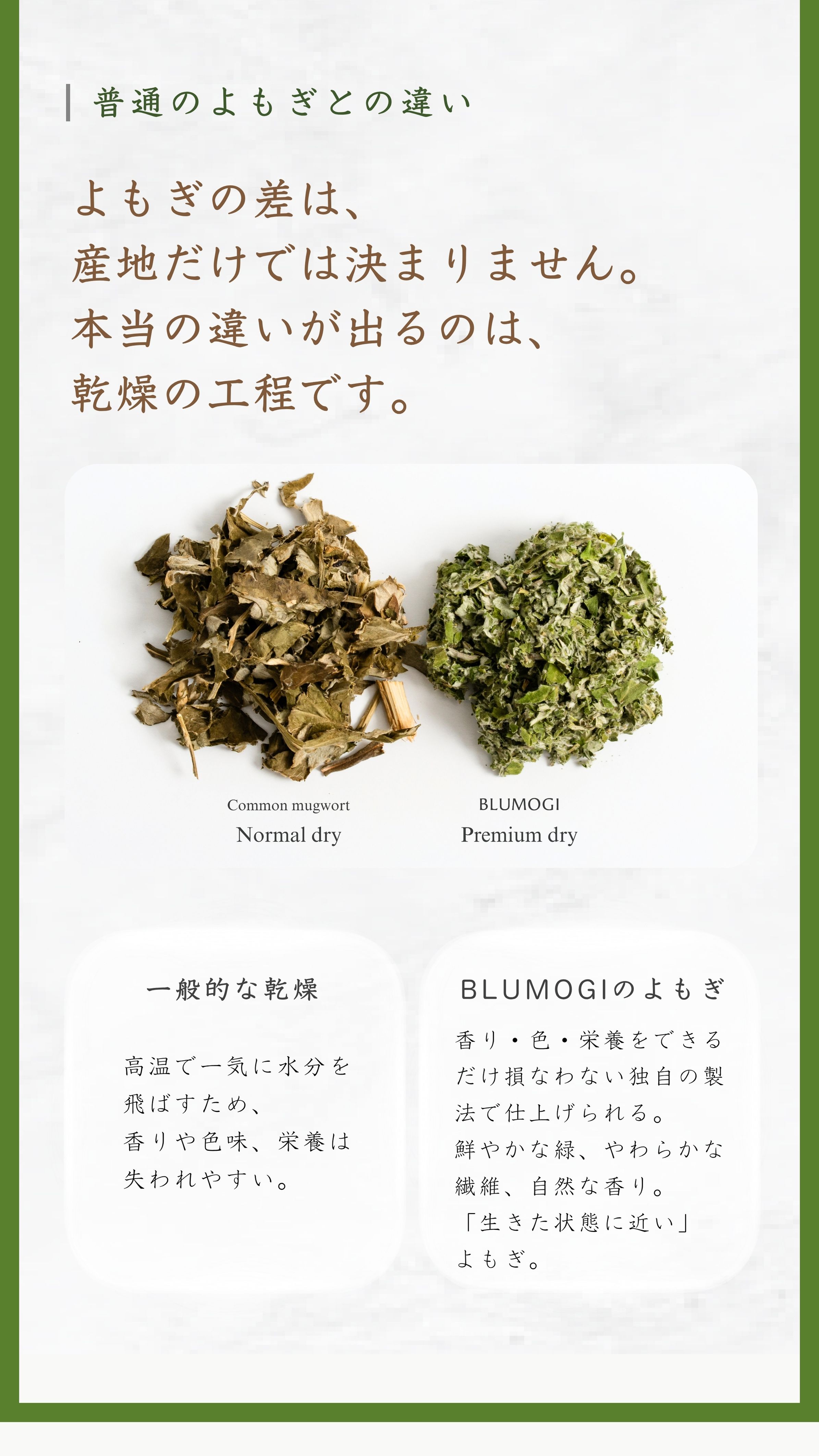 普通のよもぎとの違い