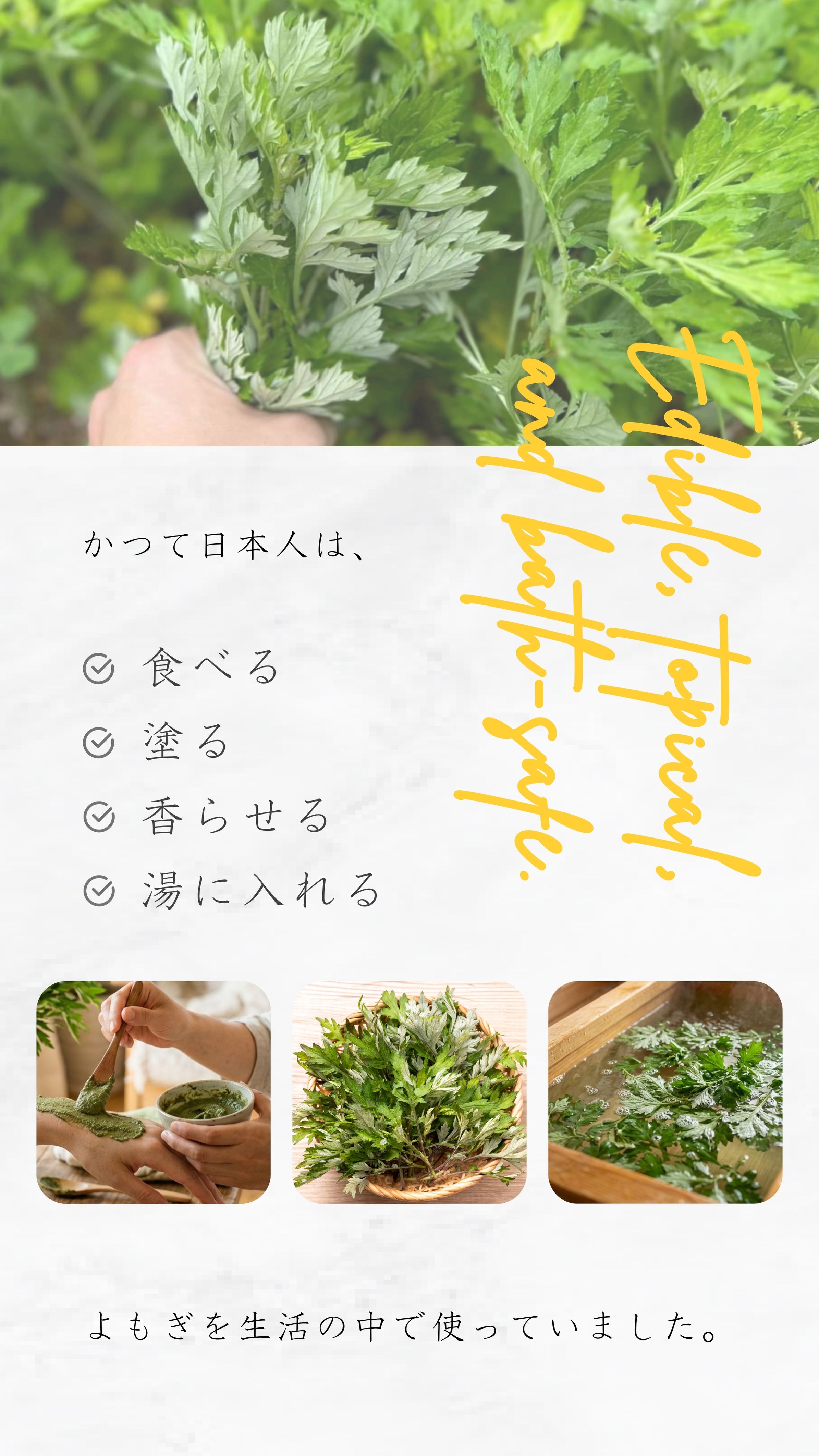 かつて日本人は