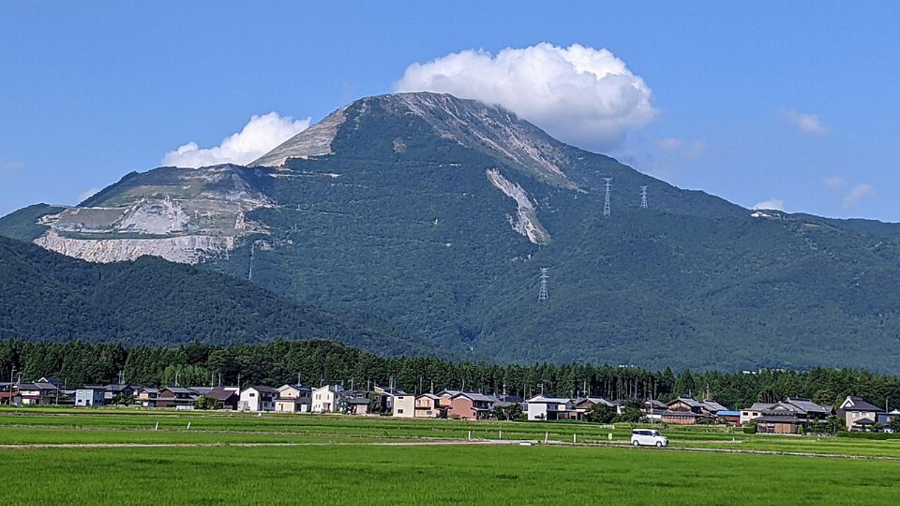 伊吹山と常在菌の記憶